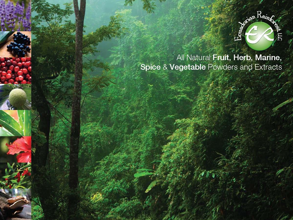 Ecuadorian Rainforest, LLC Clifton