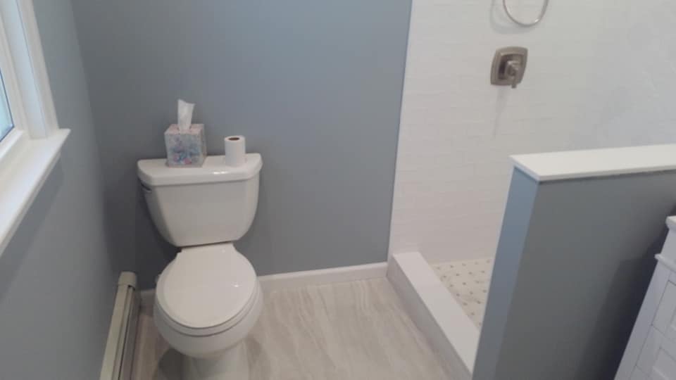 Larry's Royal Flush Plumbing
