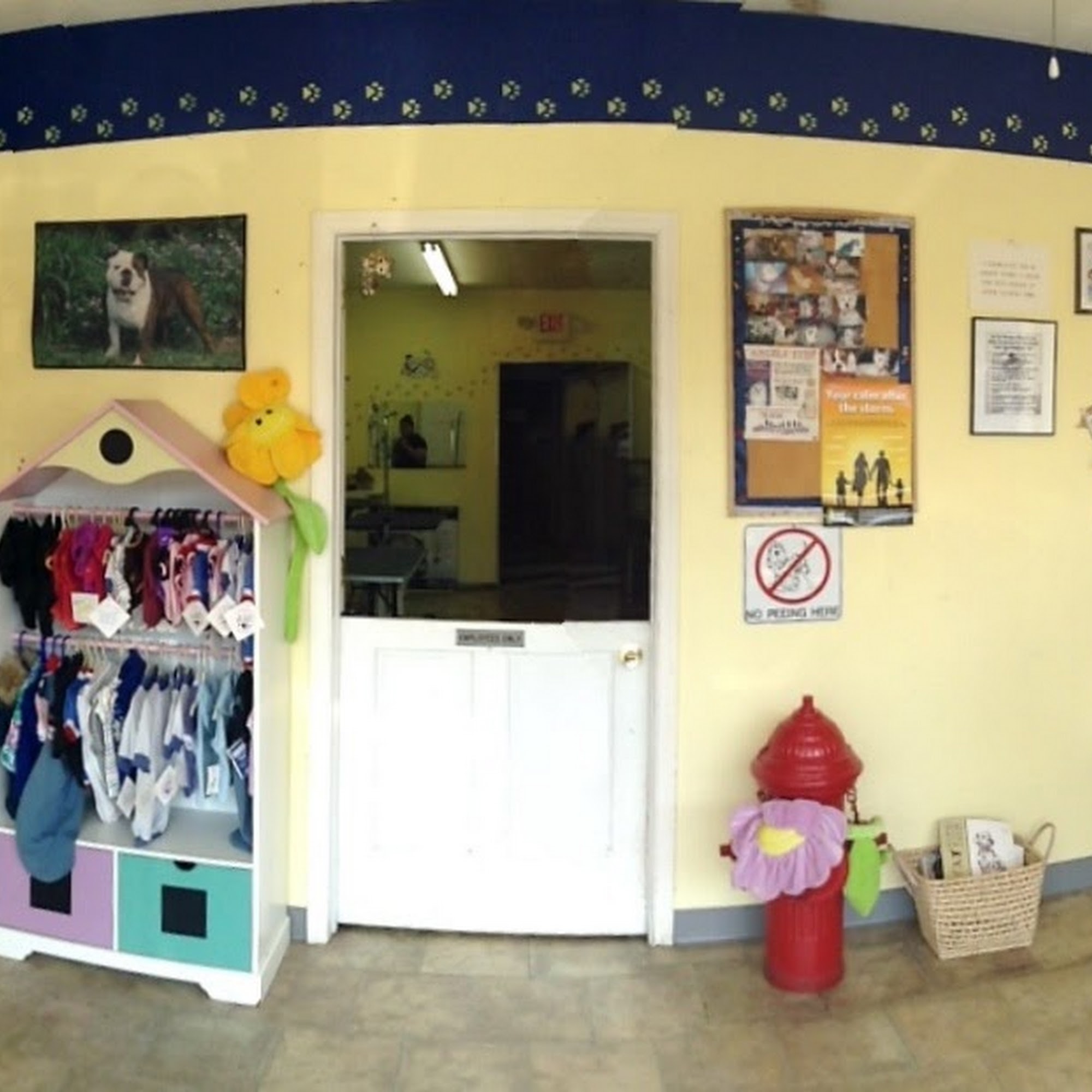 Begging For A Grooming Colonia