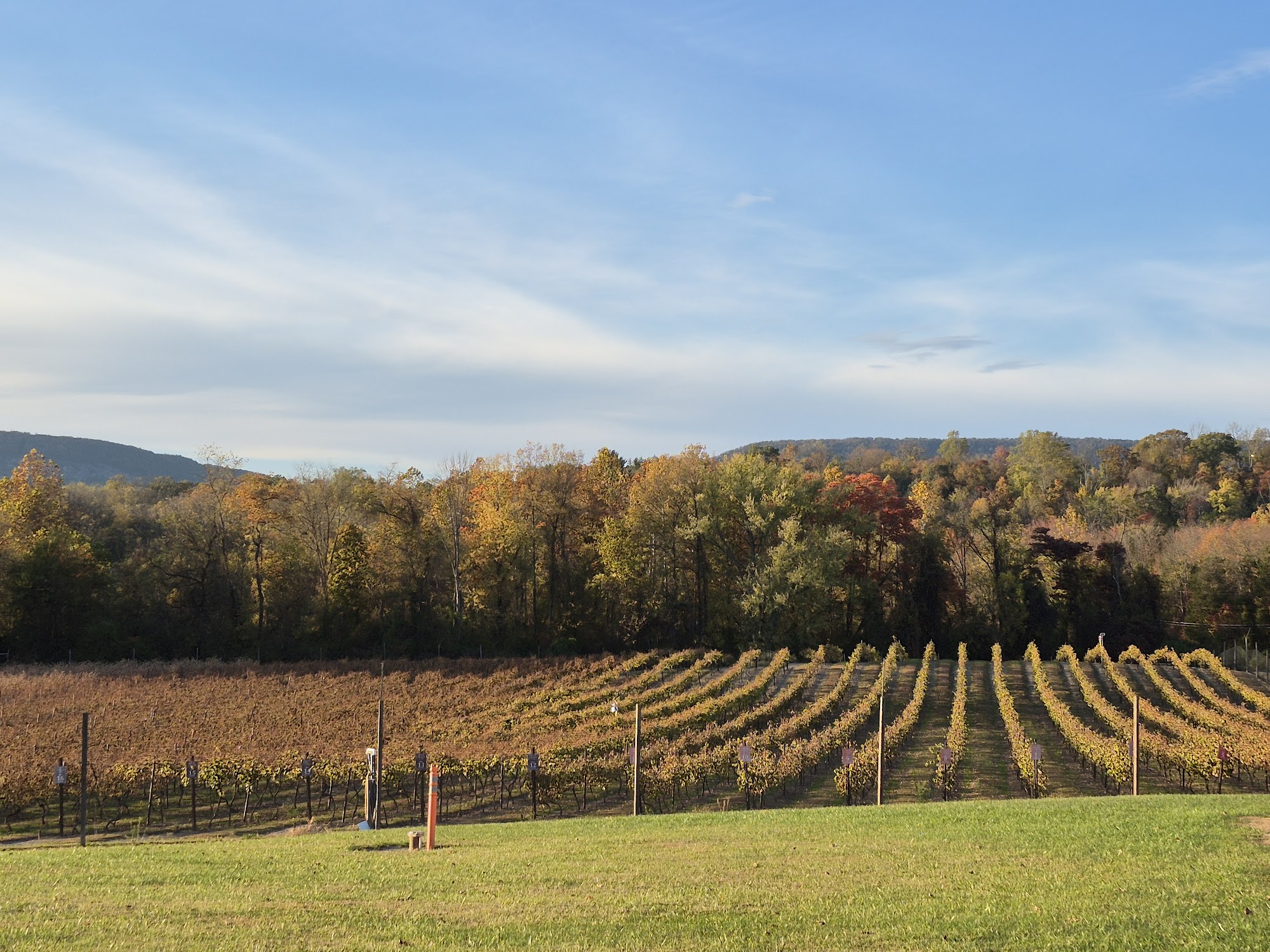Brook Hollow Winery Columbia