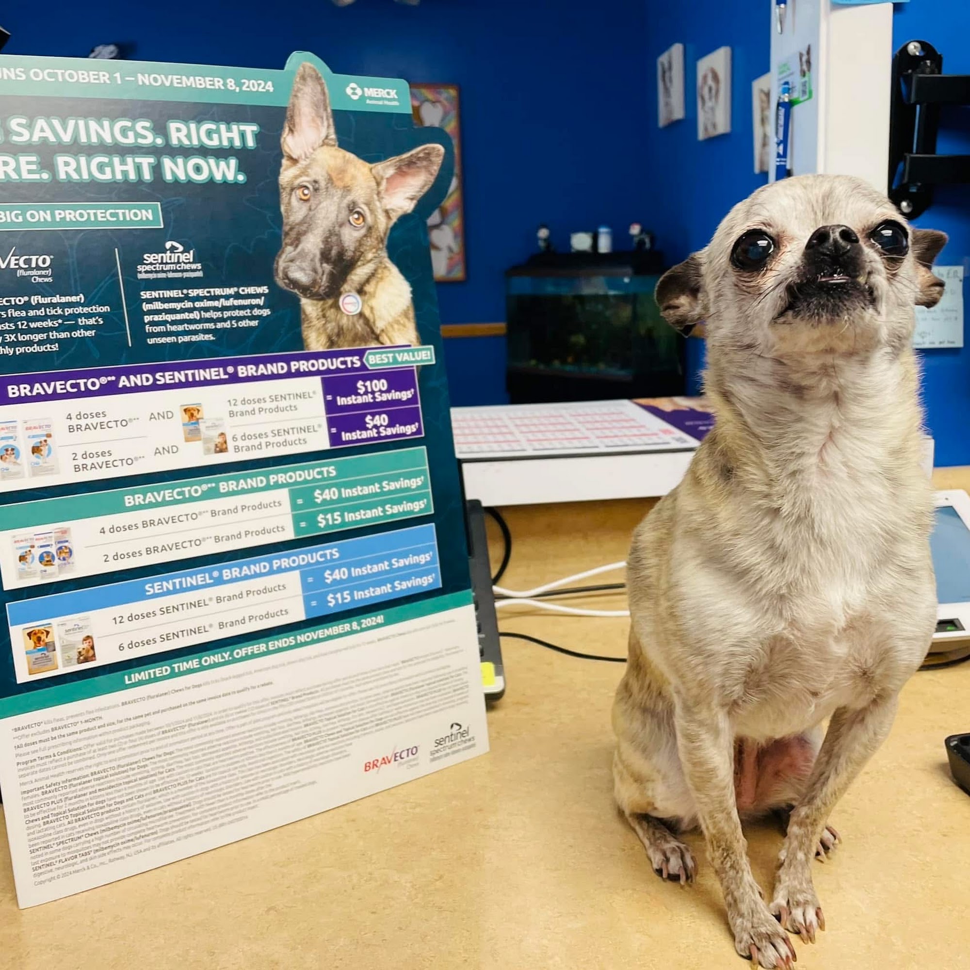 Cranbury Animal Hospital Cranbury