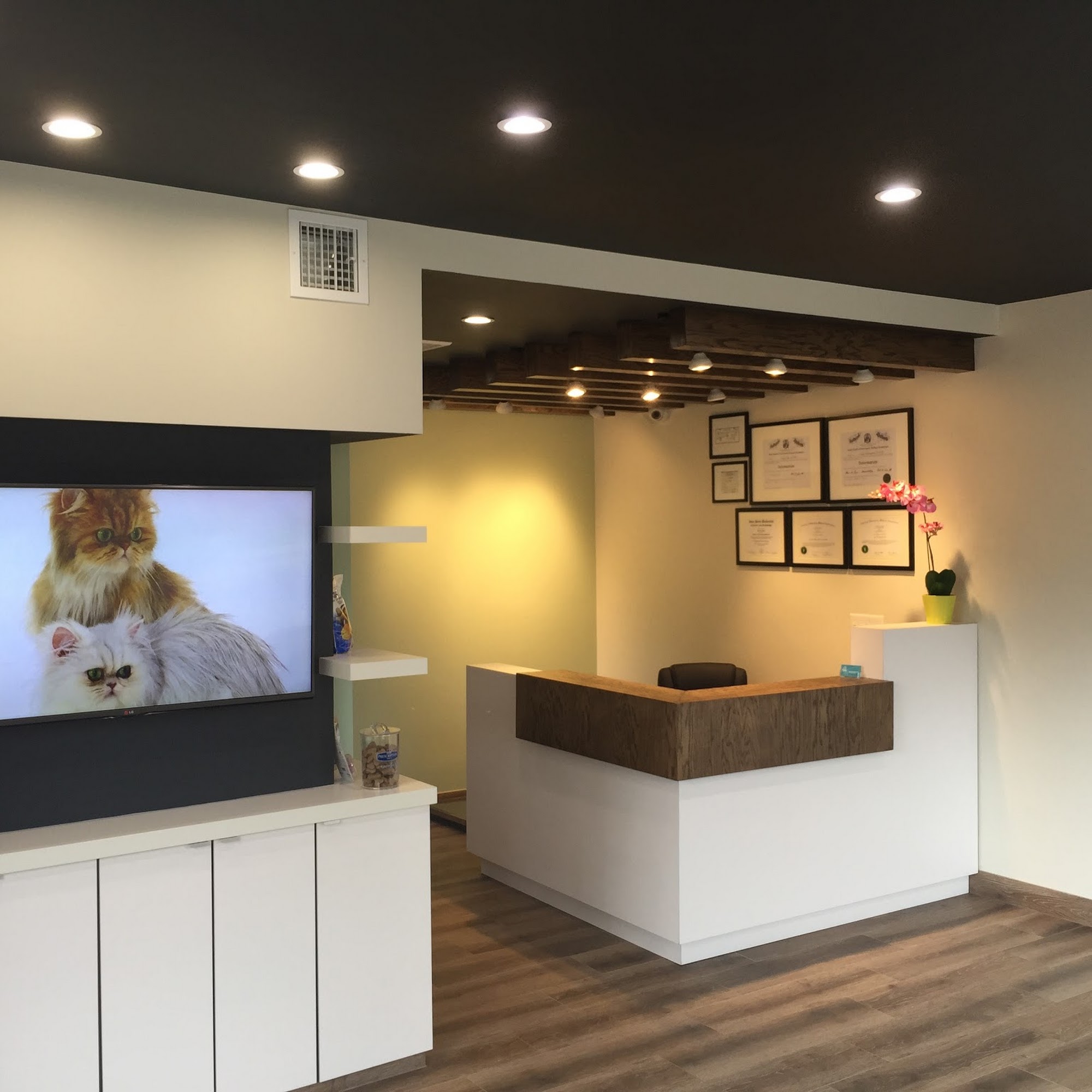 Cranford Animal Hospital Cranford