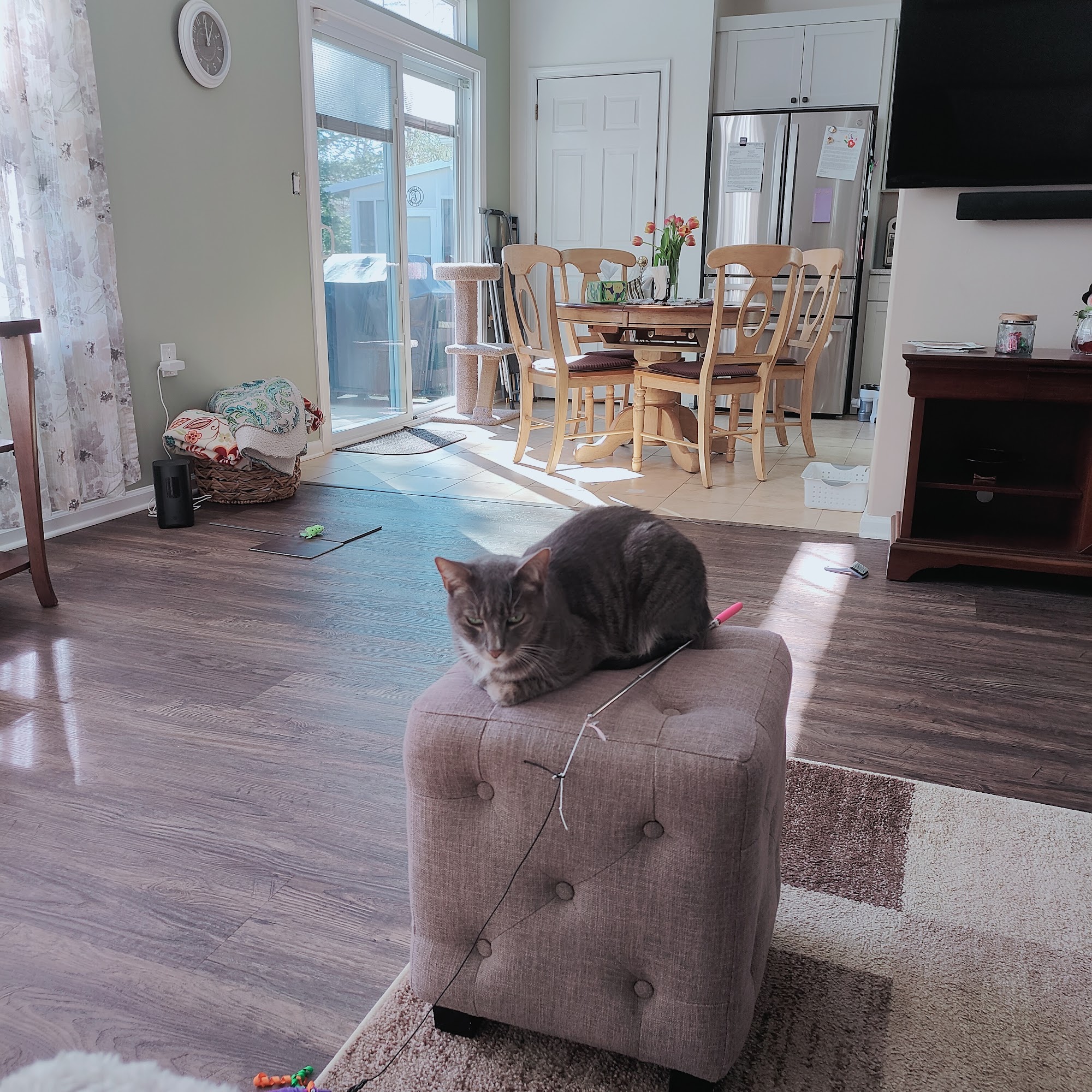 Cream Ridge Animal Clinic Cream Ridge