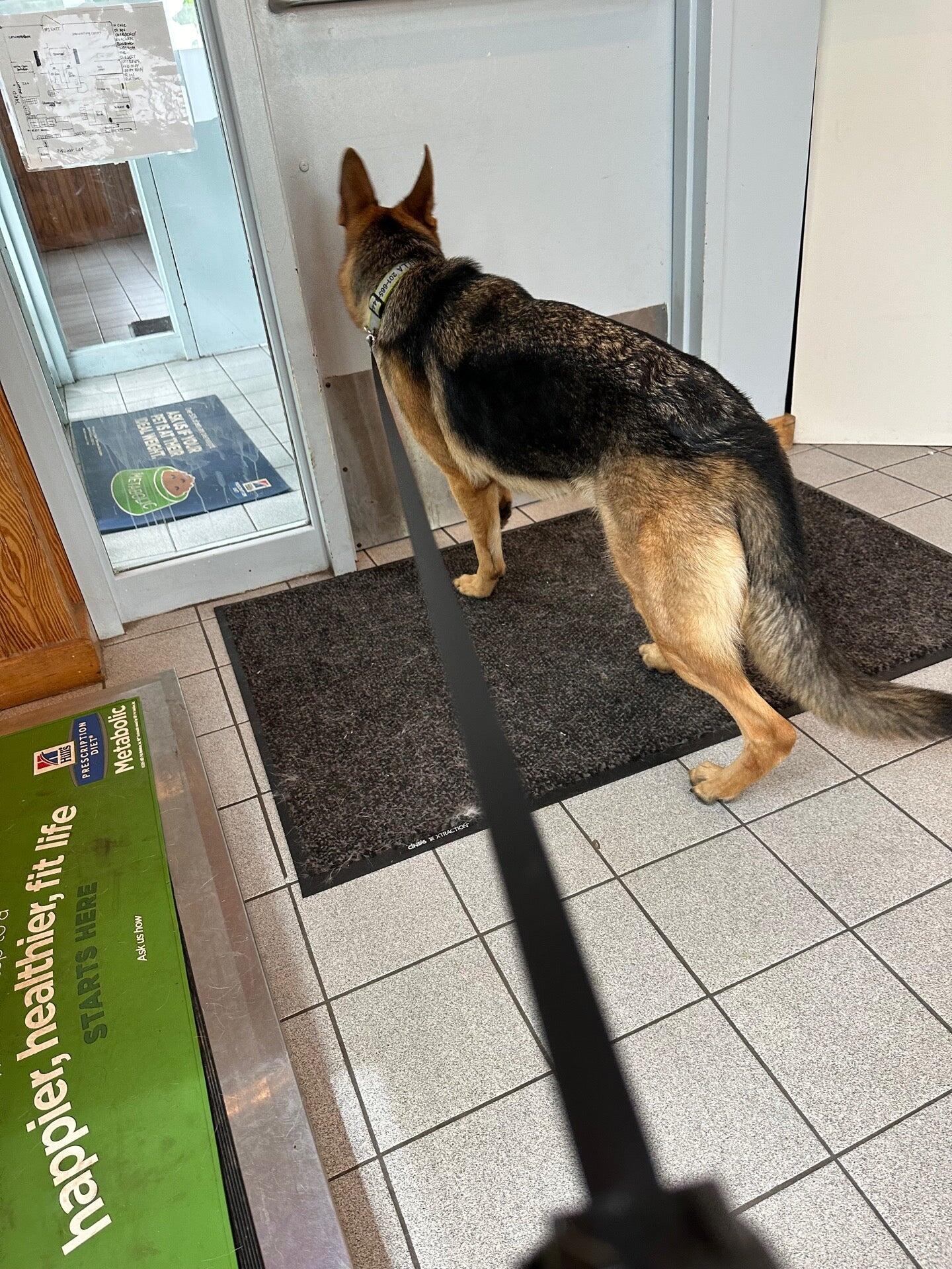 Cresskill Animal Hospital Cresskill