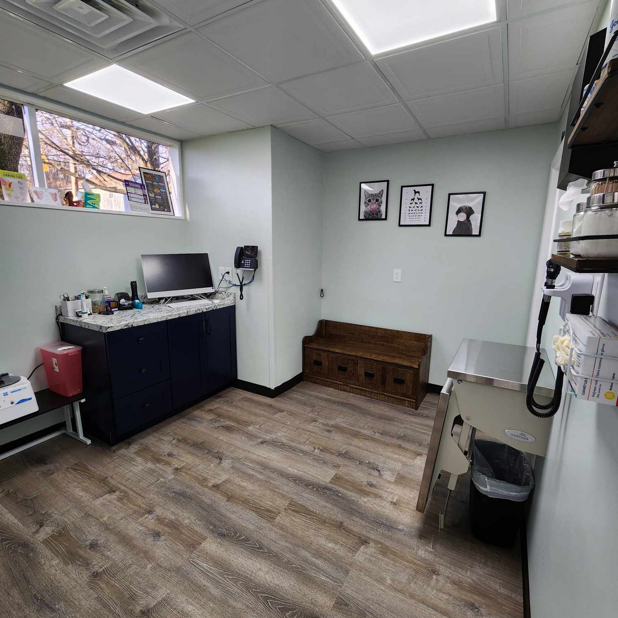 Denville Animal Hospital Denville