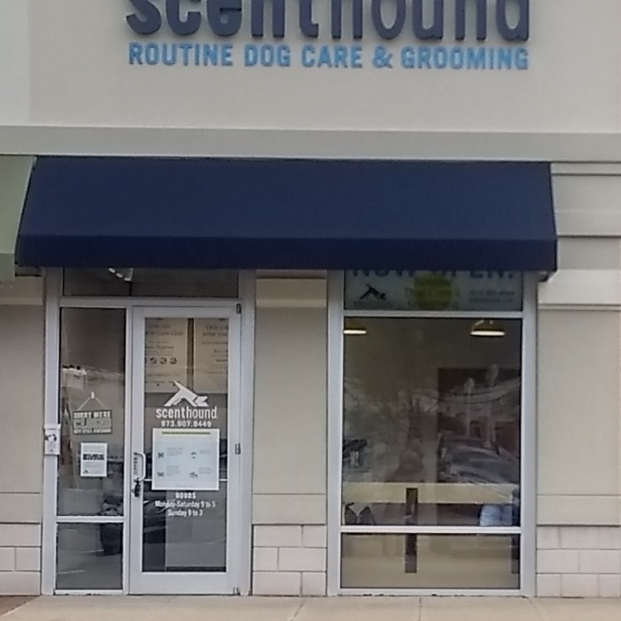 Scenthound Denville Denville