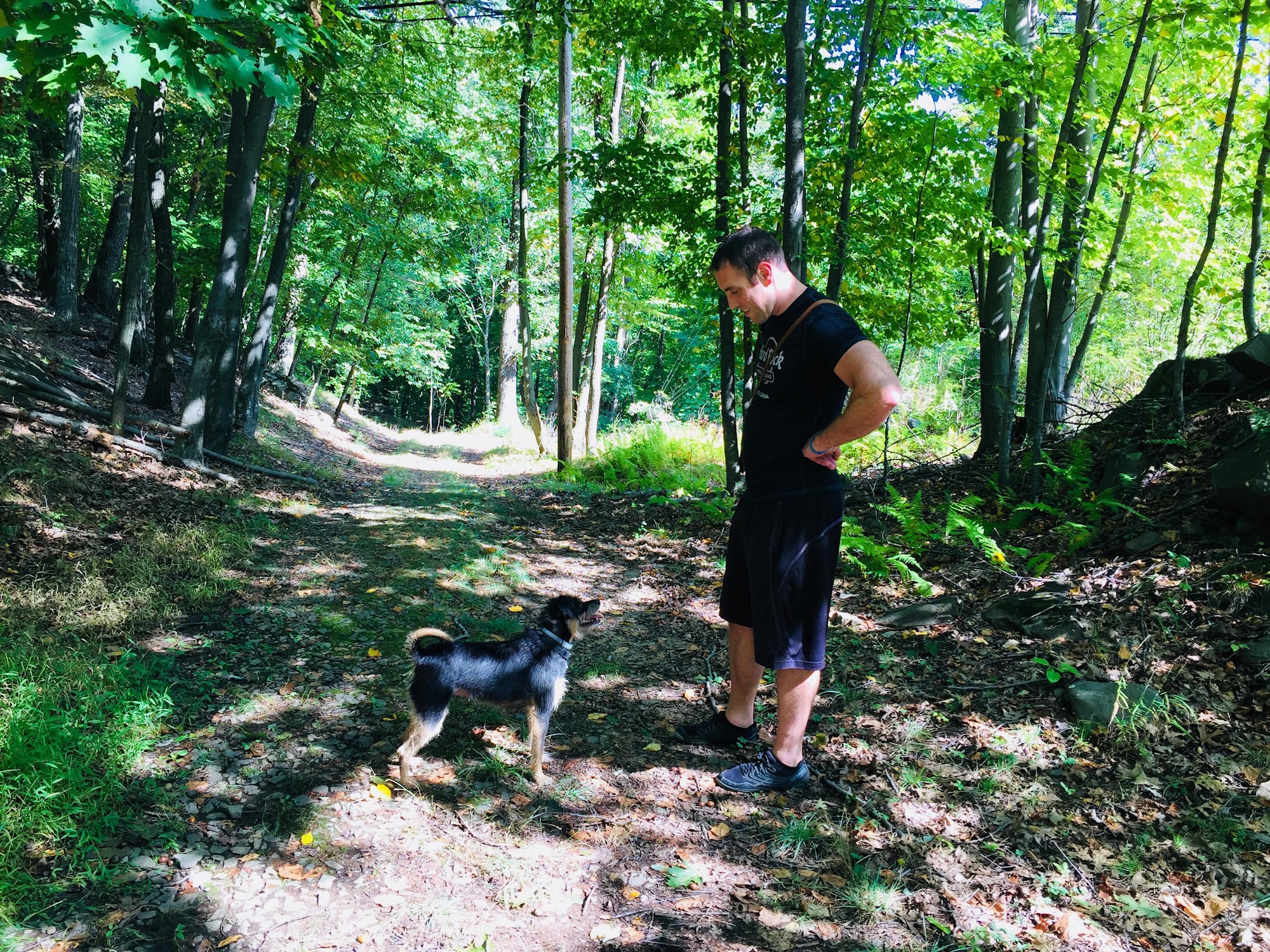 Brett Shelby Professional Dog Trainer Dumont