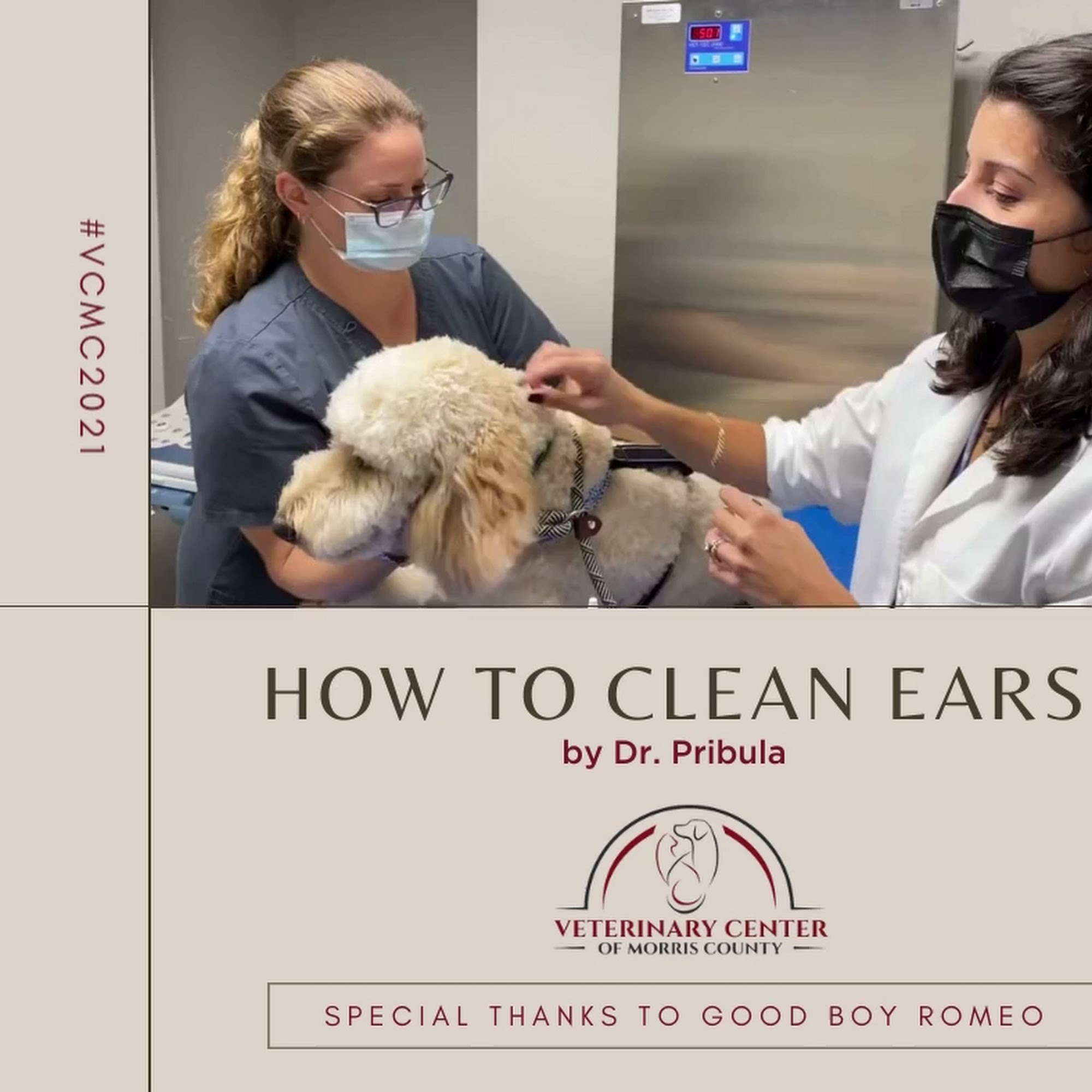 Veterinary Center of Morris County East Hanover