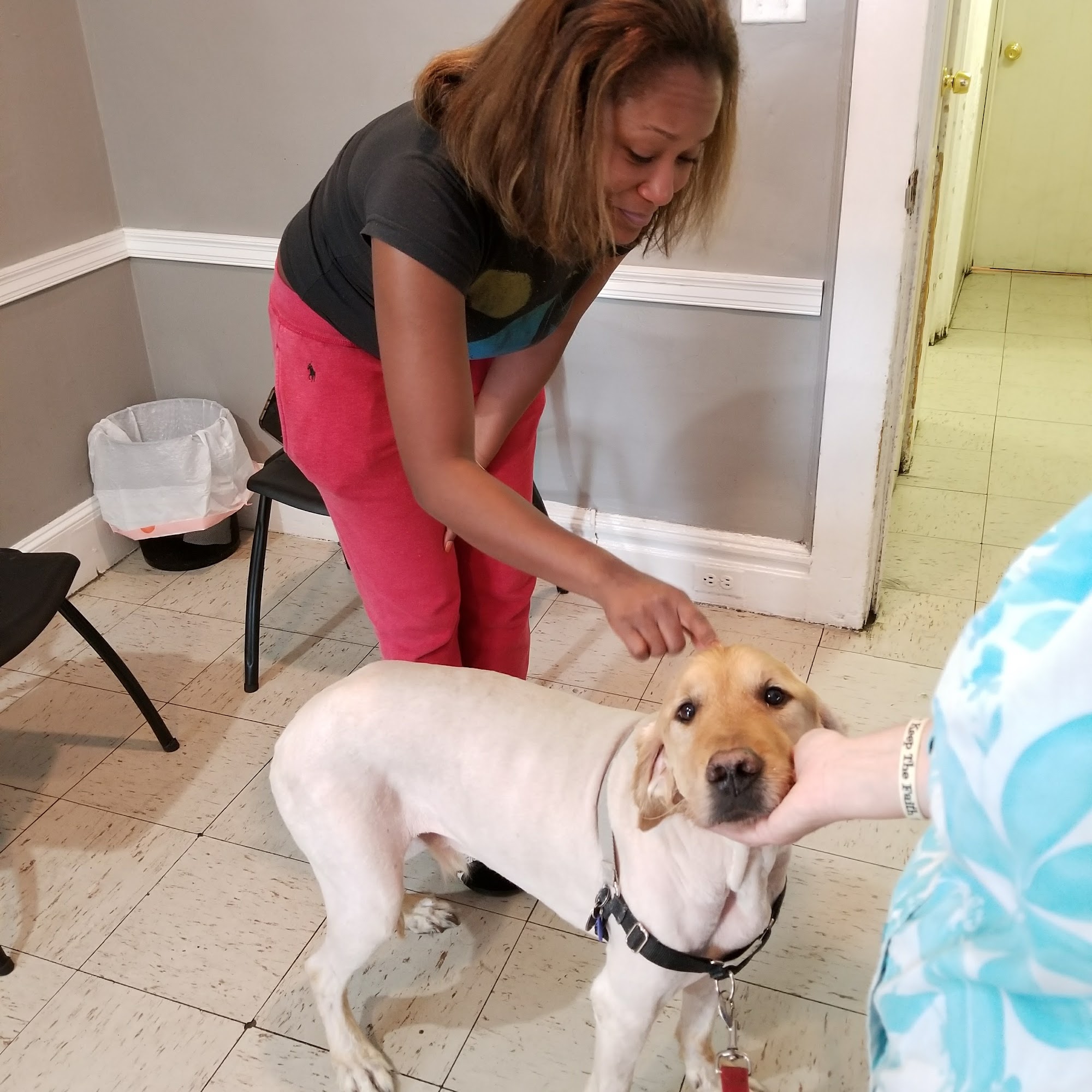 East Orange Animal Hospital East Orange