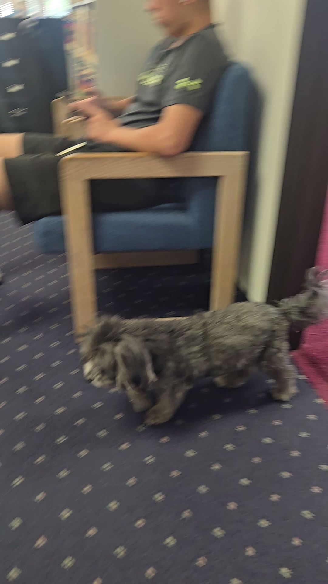 William C. Fruchtman, OD