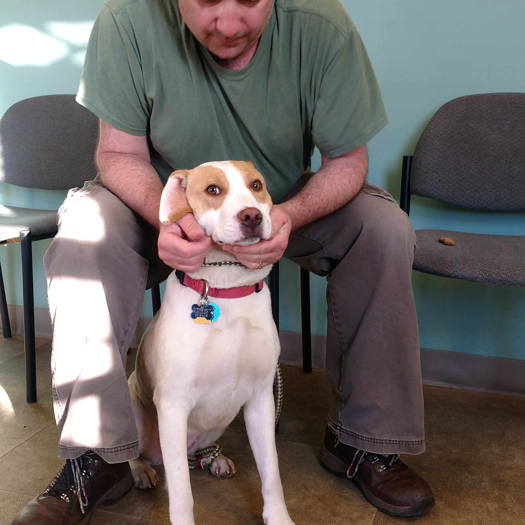 Raritan Animal Hospital Edison