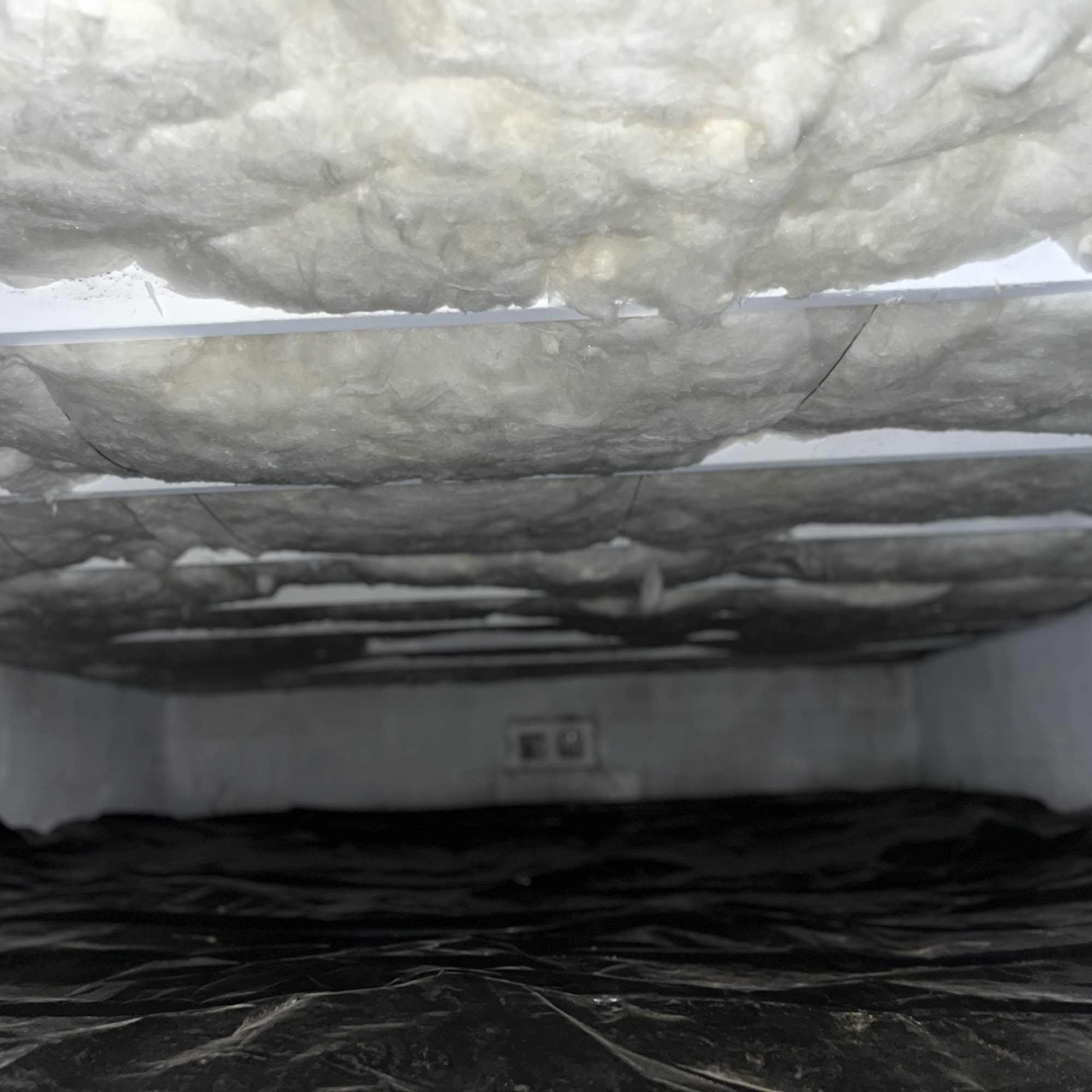 Atlantic Mold Inspection and Removal, LLC