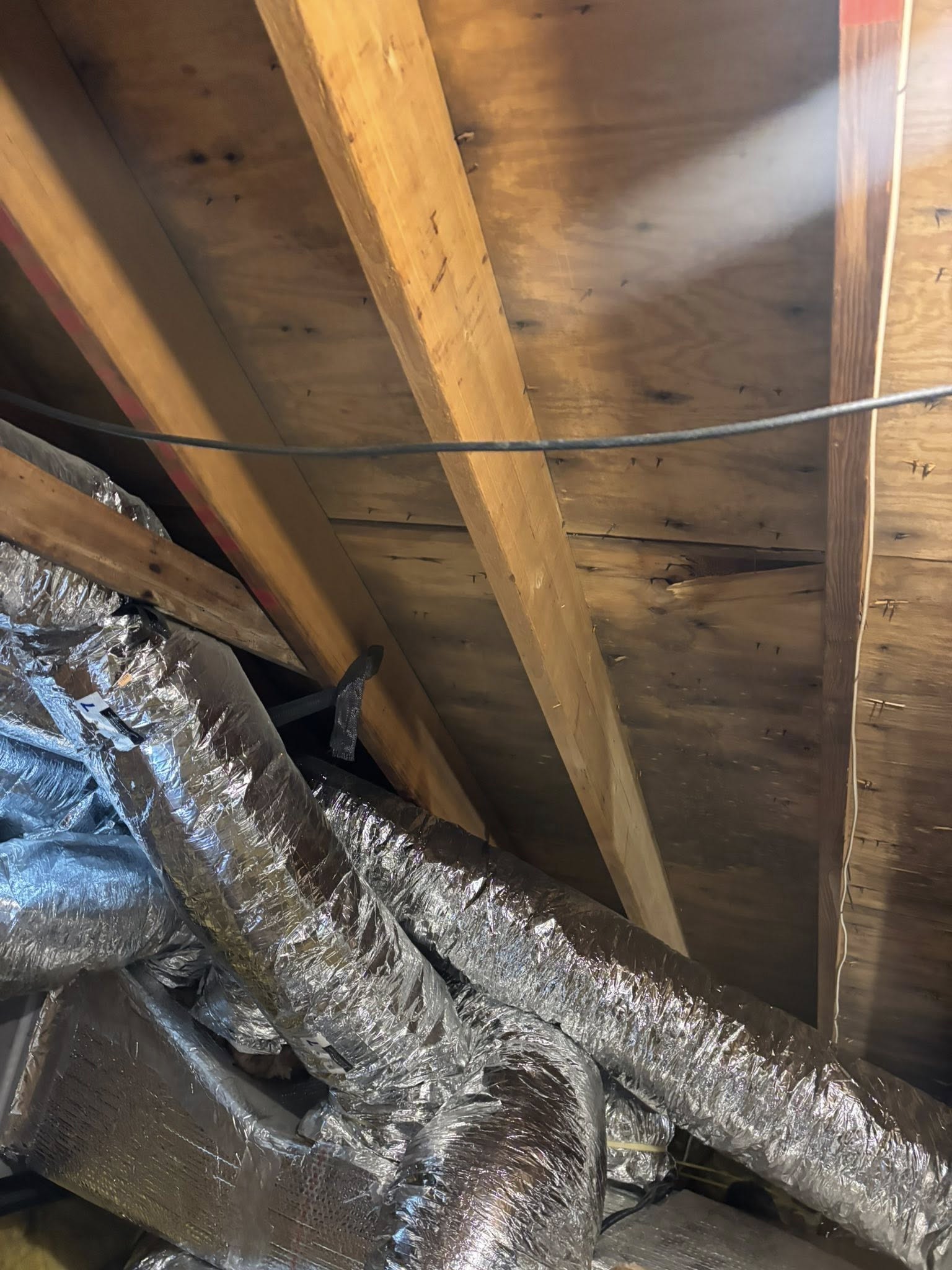 Atlantic Mold Inspection and Removal, LLC