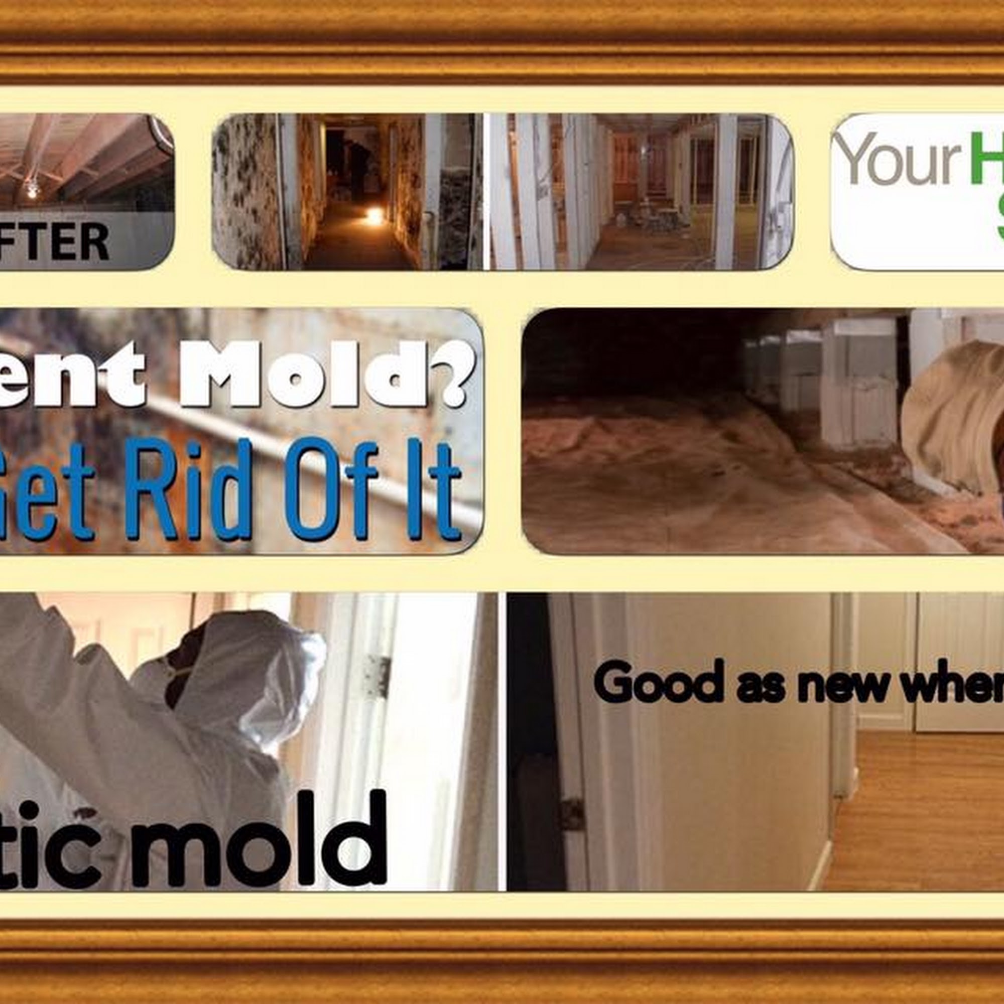 Atlantic Mold Inspection and Removal, LLC