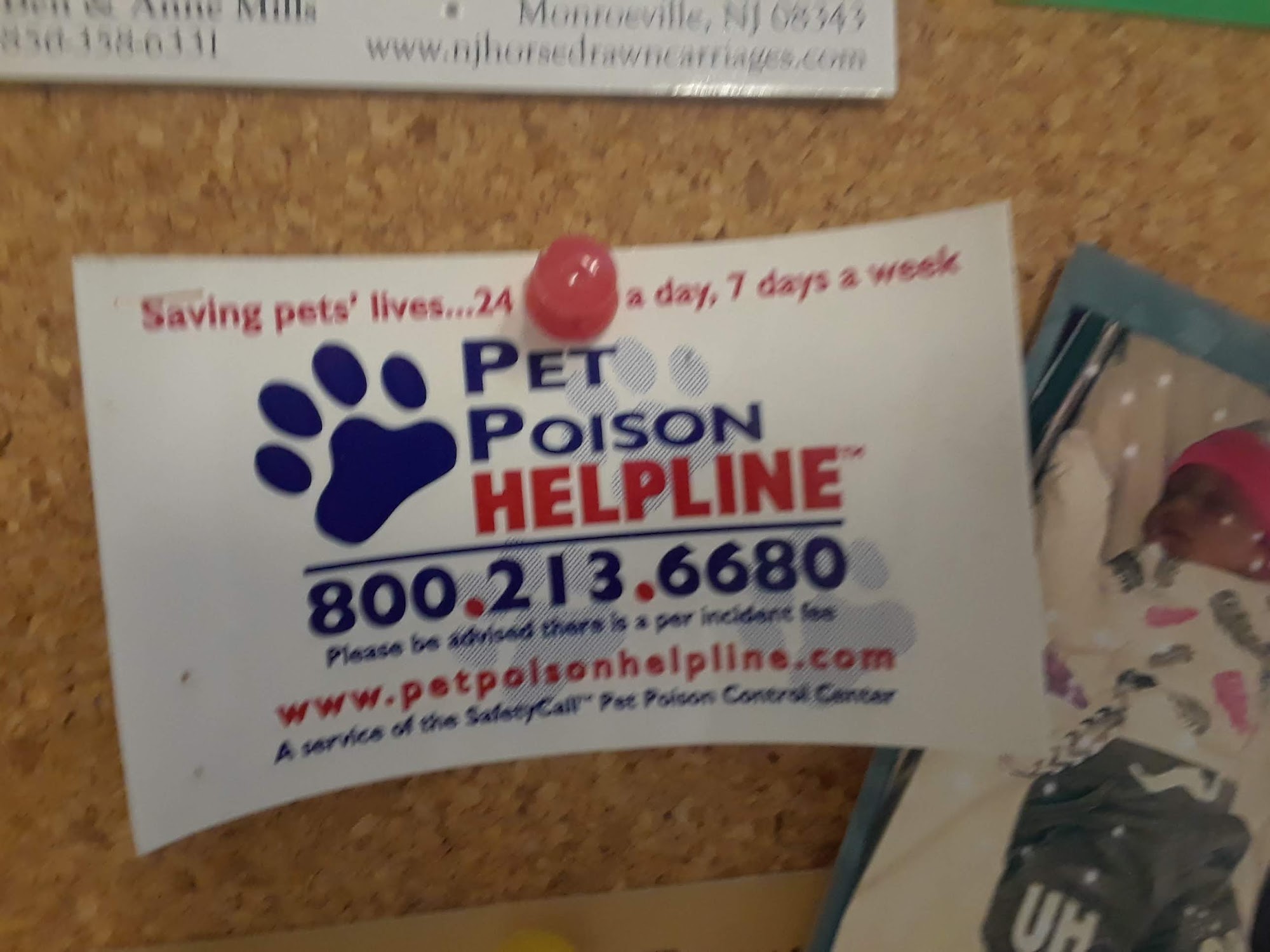 Stephens Robert P DVM Elmer