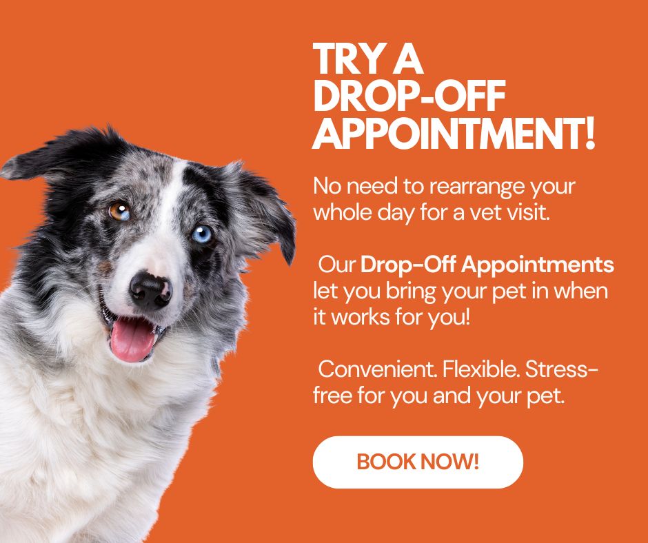 Meisels Animal Hospital Elmwood Park