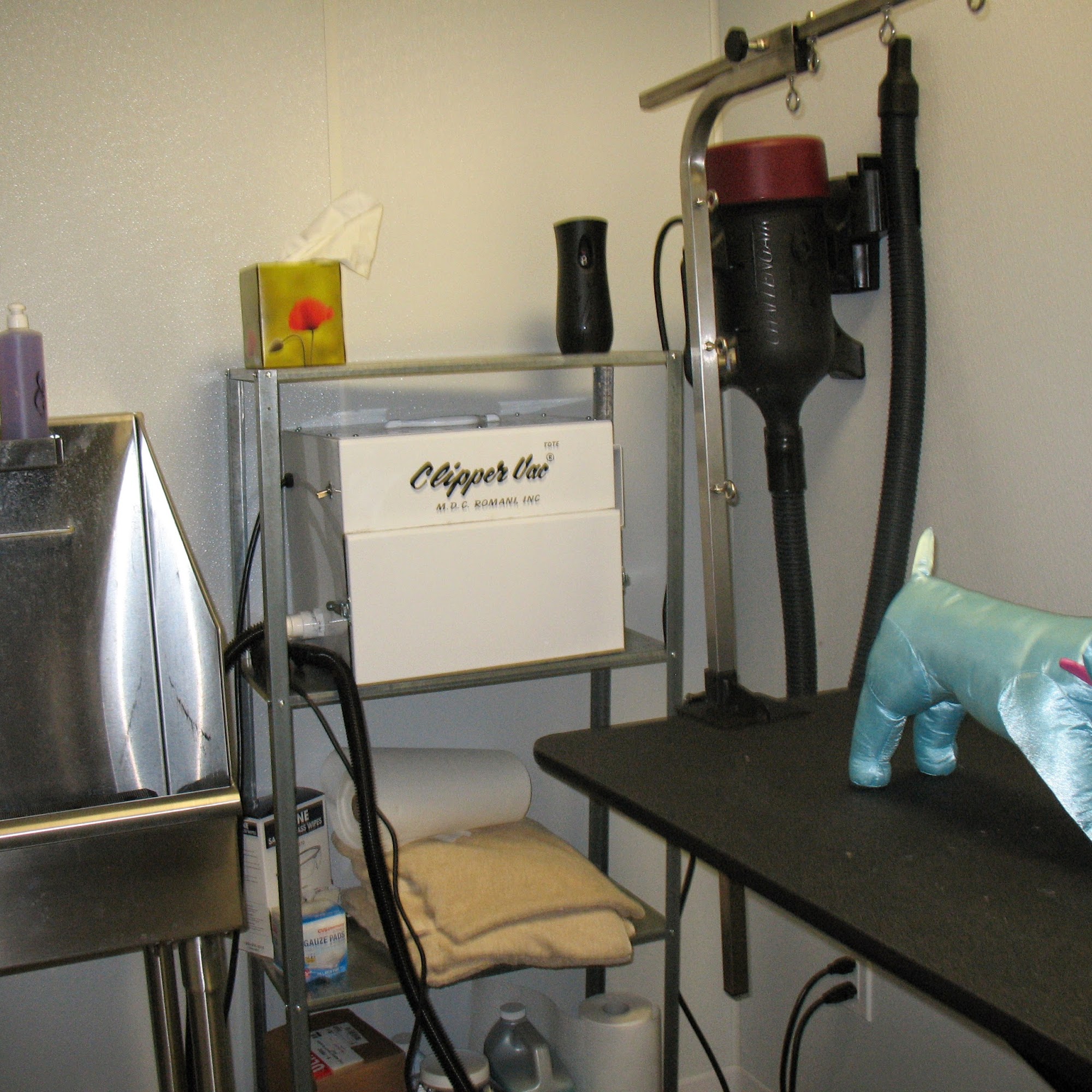 Miss Molly's Lap of Luxury Grooming Salon Englewood Cliffs