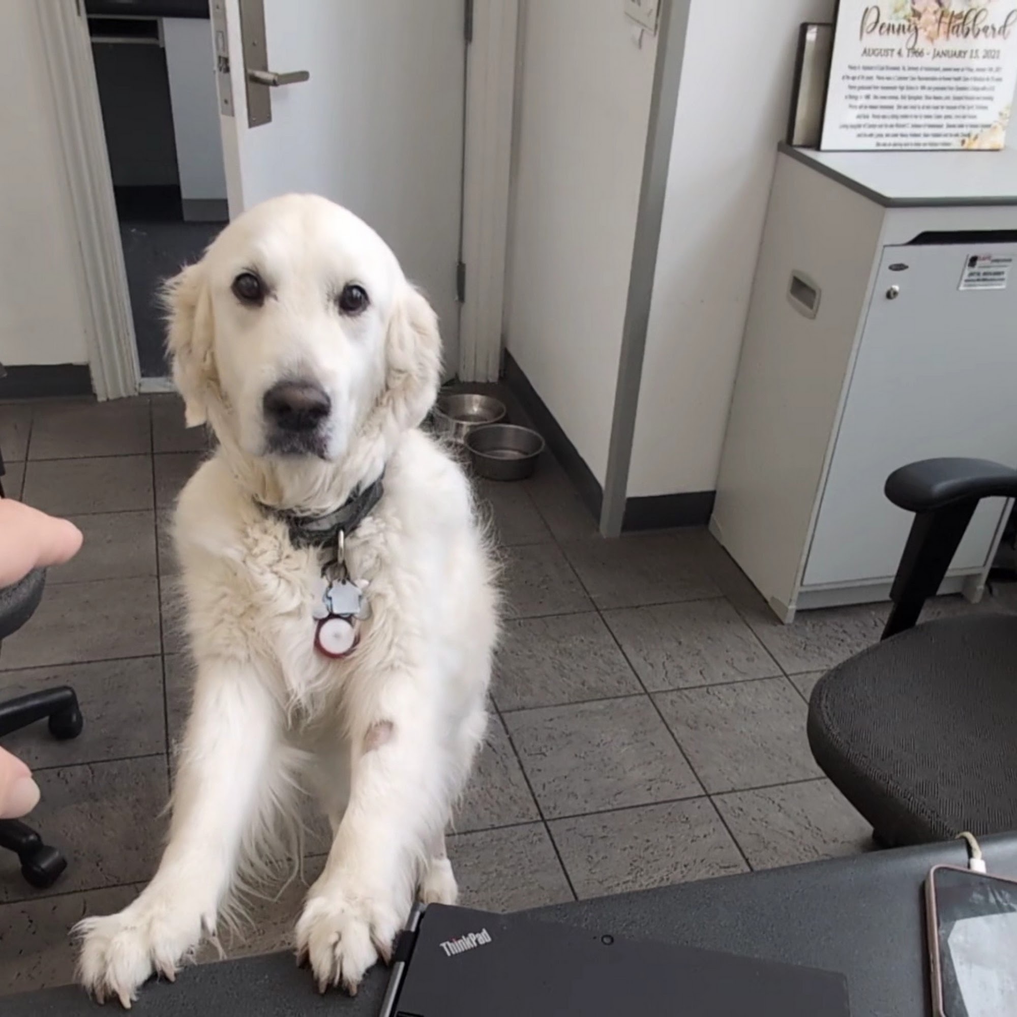 Animal Health Care of Marlboro Englishtown