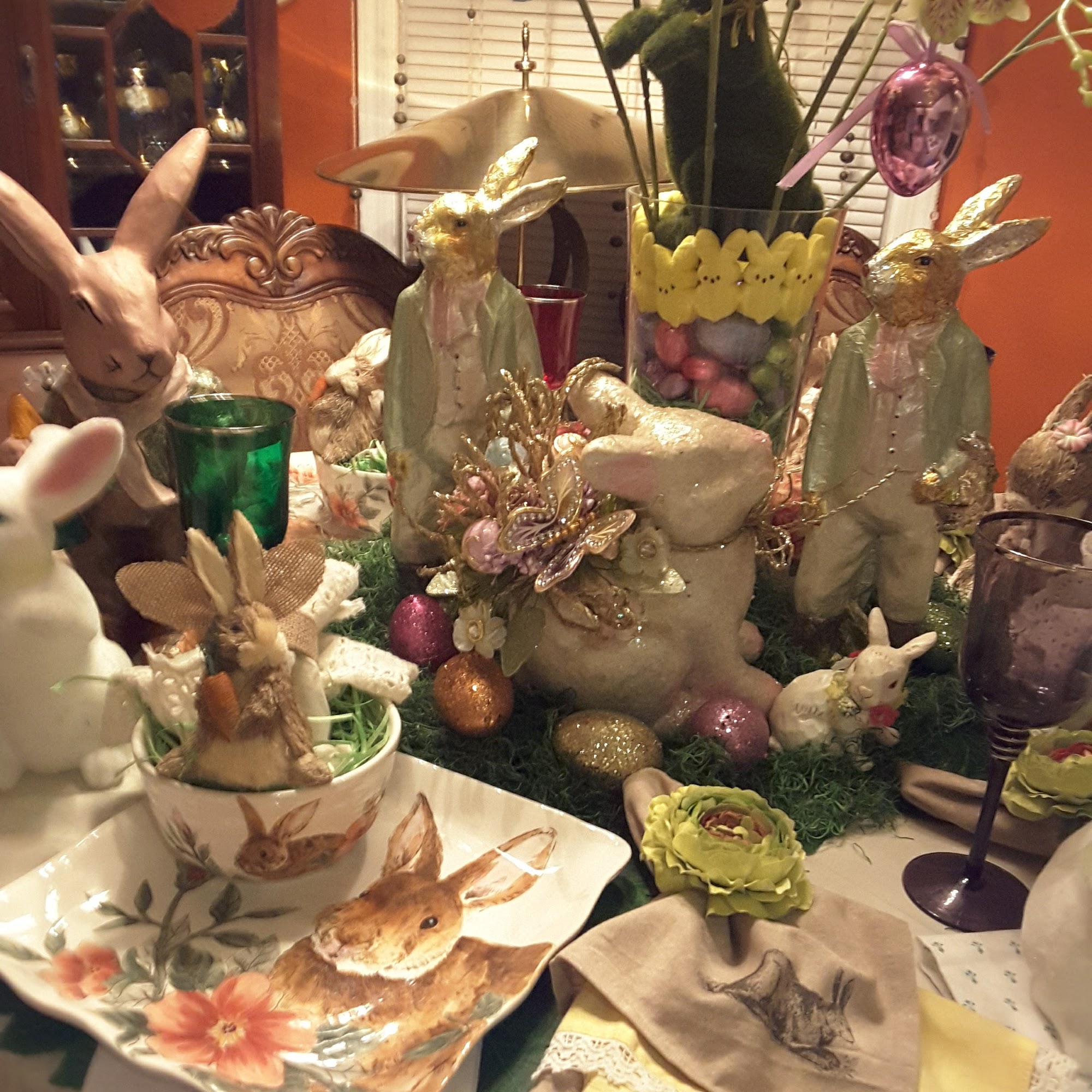 Animals R Family Wellness Center Englishtown