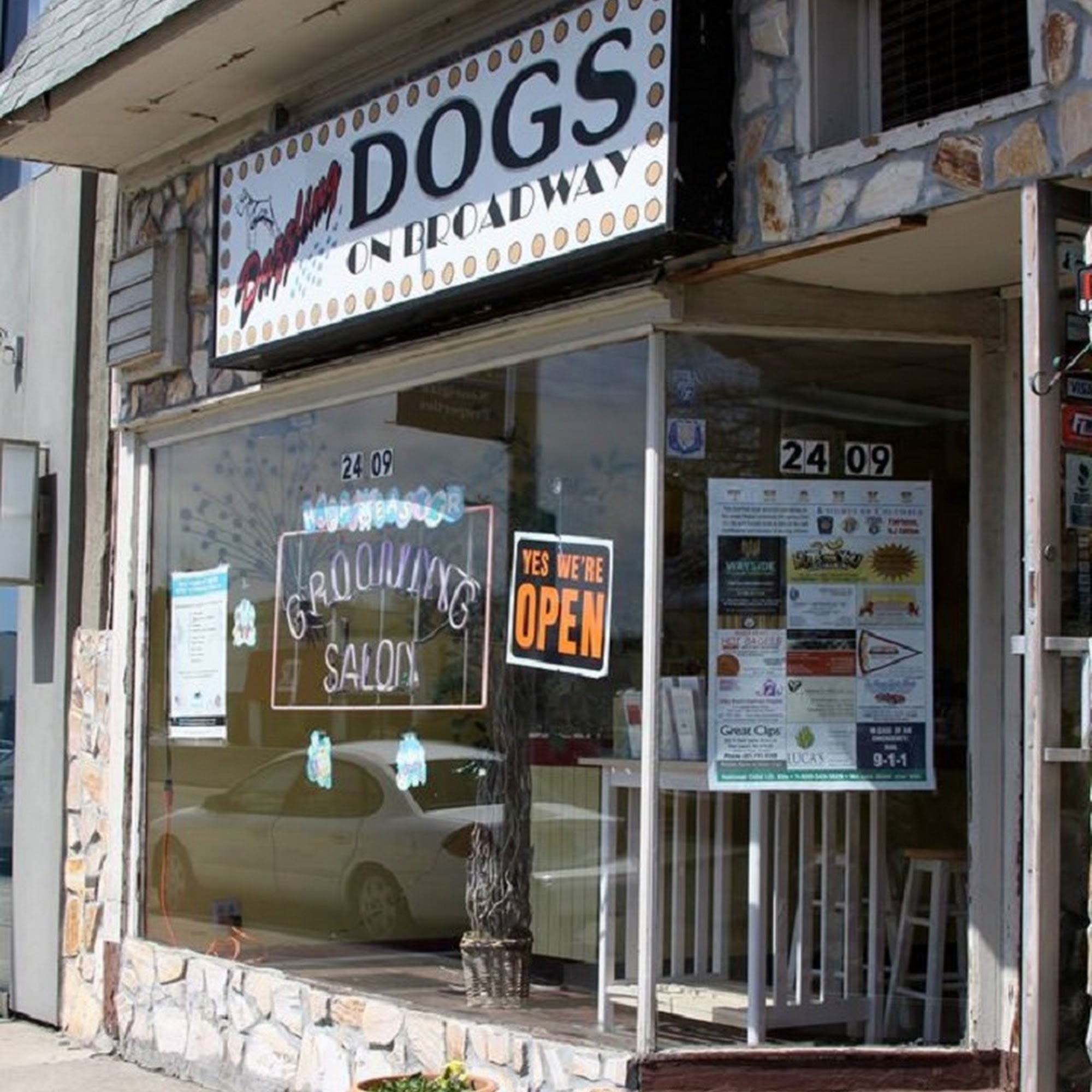 Dazzling Dogs On Broadway Fair Lawn