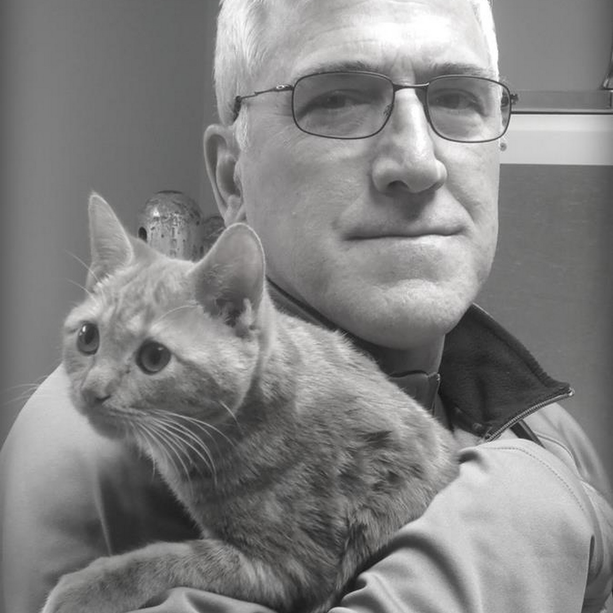 Willowbrook Animal Clinic Fairfield