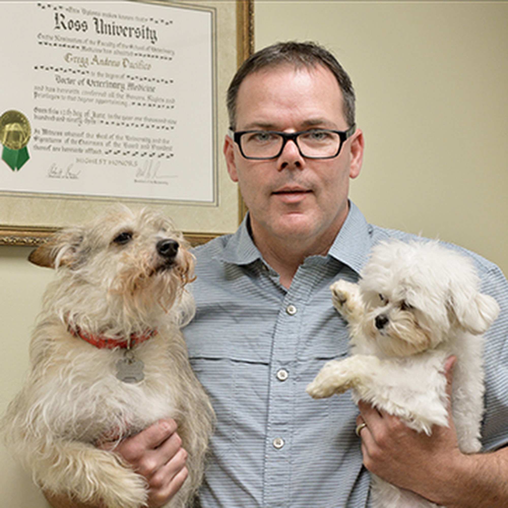 Flemington Veterinary Hospital Flemington