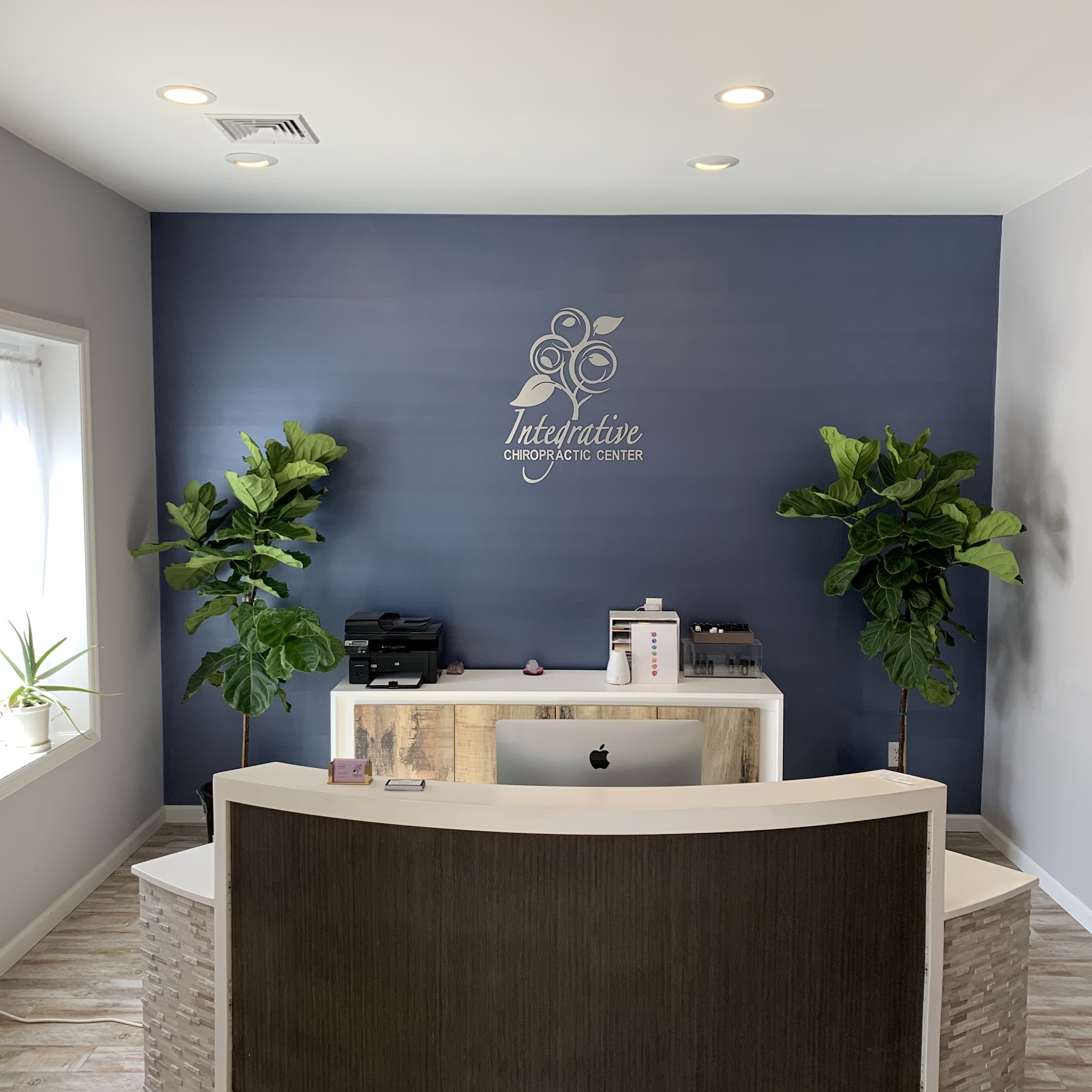 Integrative Chiropractic Center 21B Stangl Rd, Flemington New Jersey 08822