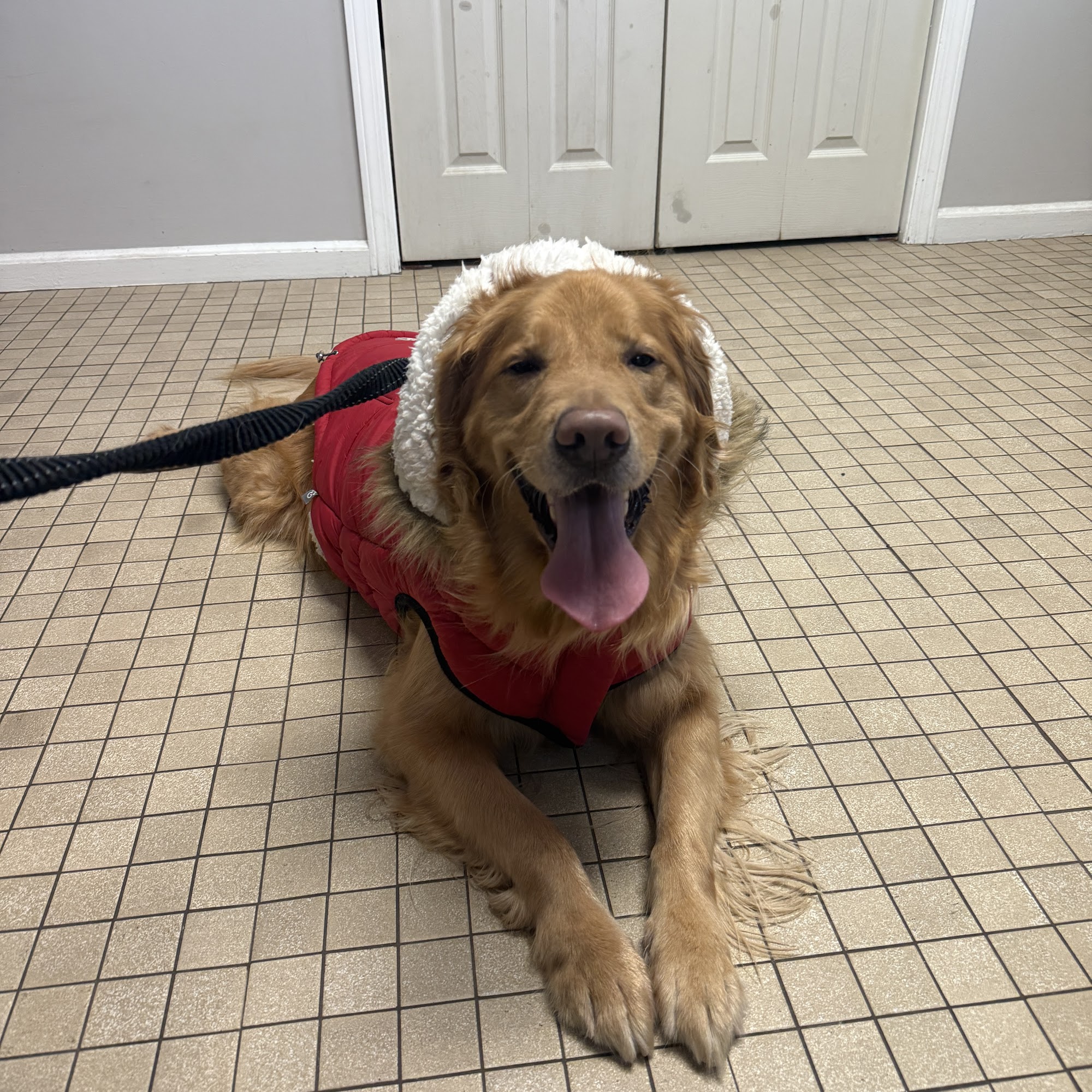 Hopelawn Animal Clinic Fords