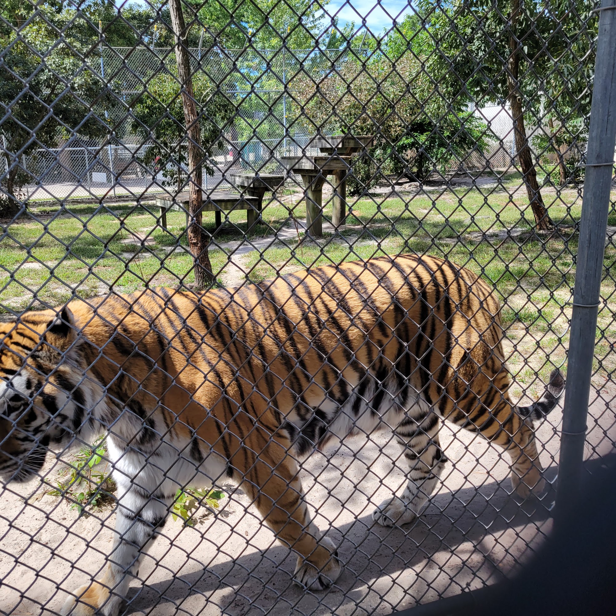 Associated Humane Societies Forked River