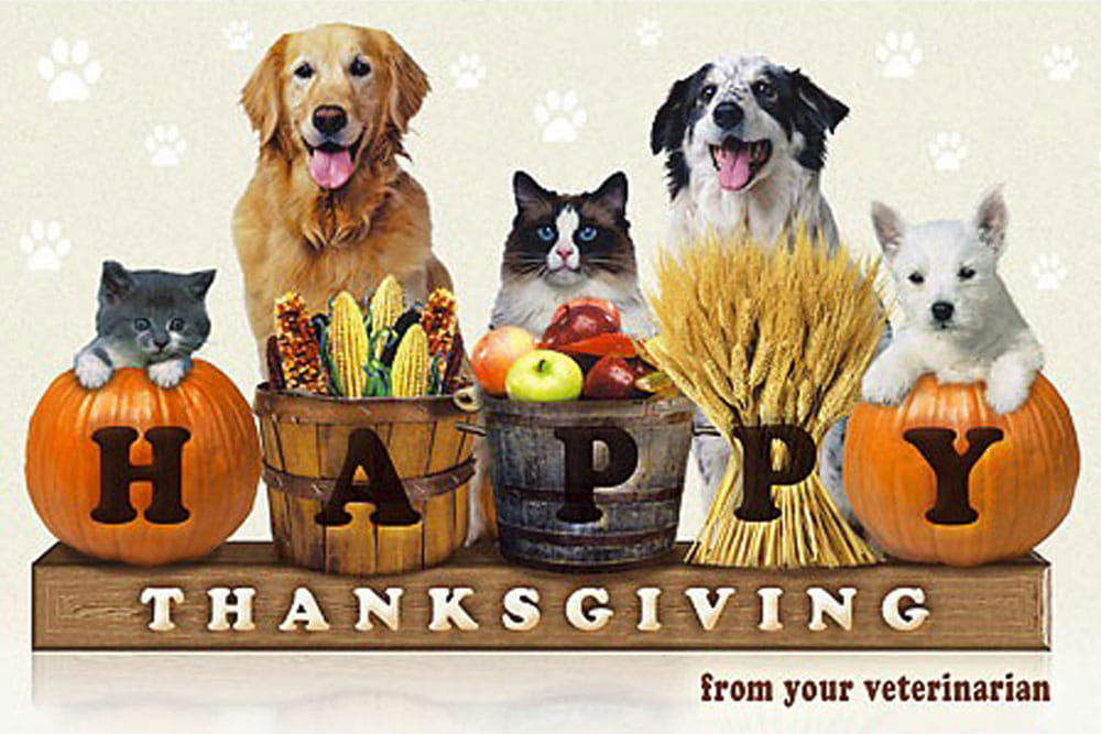 Bayberry Veterinary Hospital Forked River