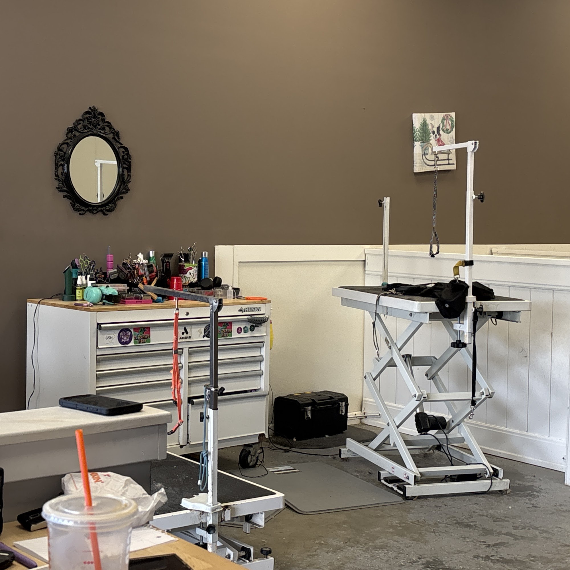 What The Pup Grooming Forked River