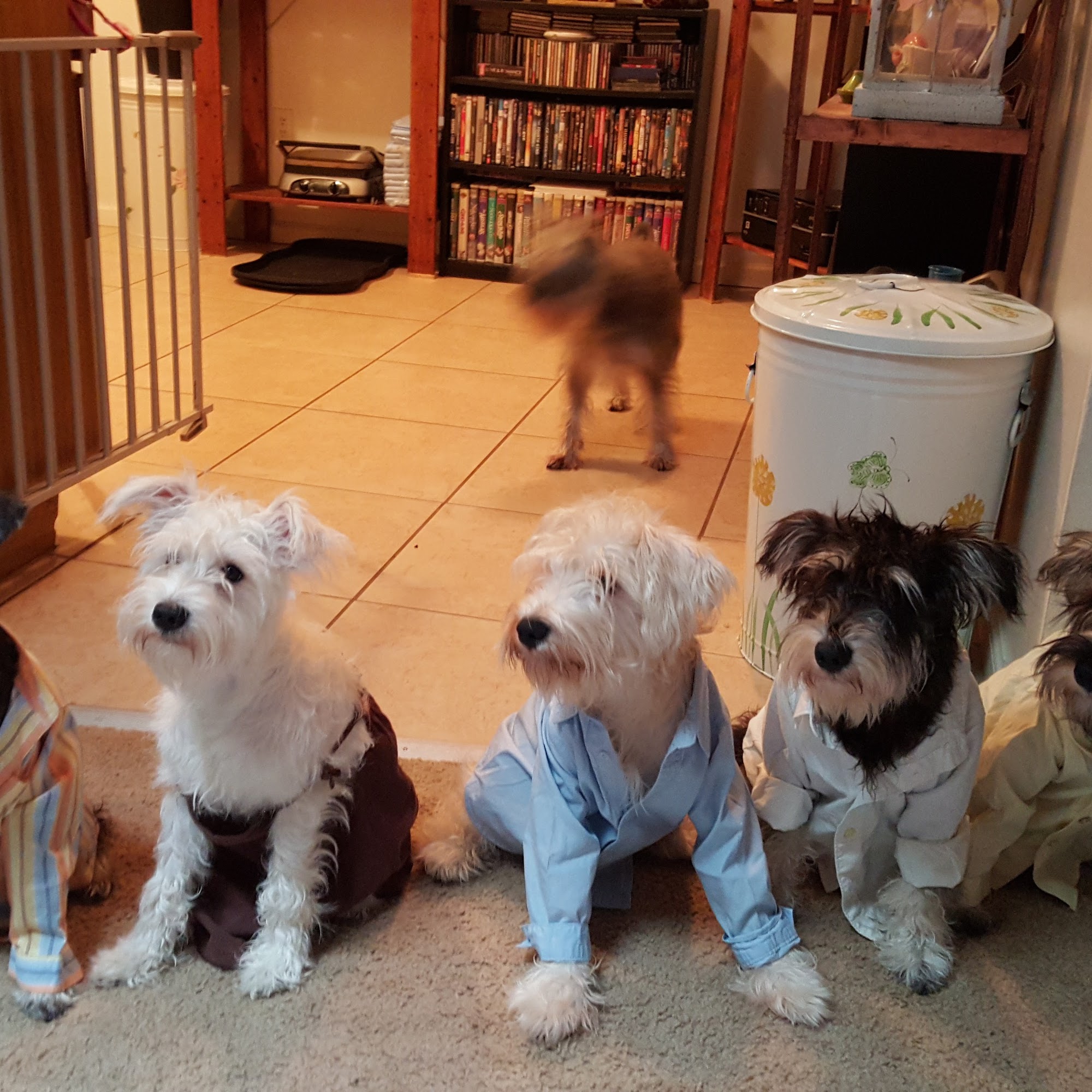 Fredon Animal Hospital Fredon