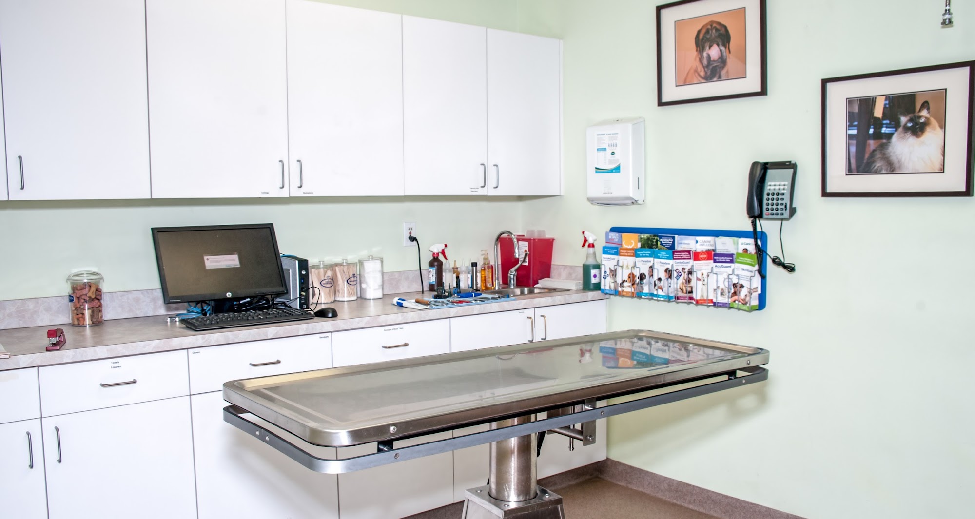 Freehold Animal Hospital Freehold