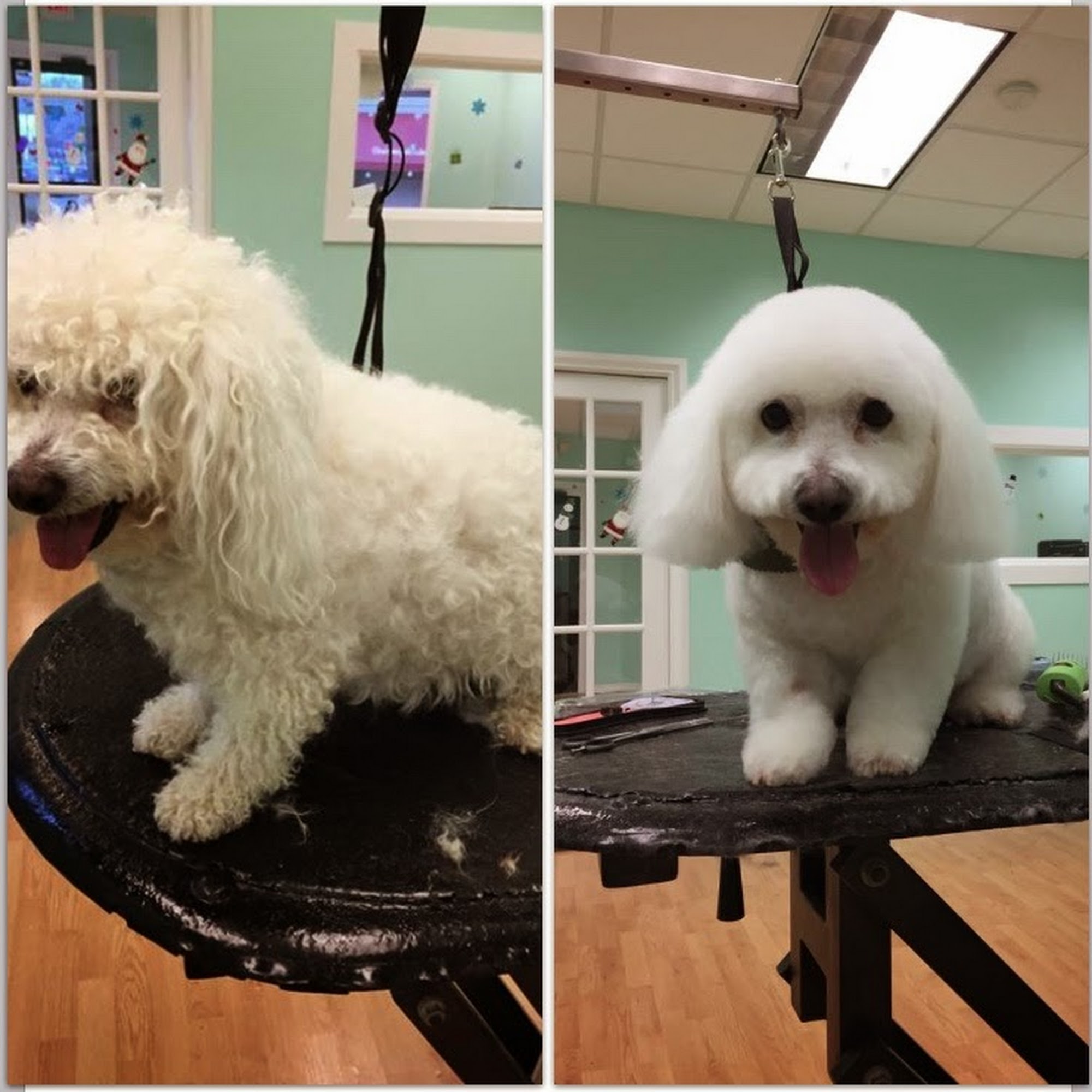 Happy Pet Tails Garfield