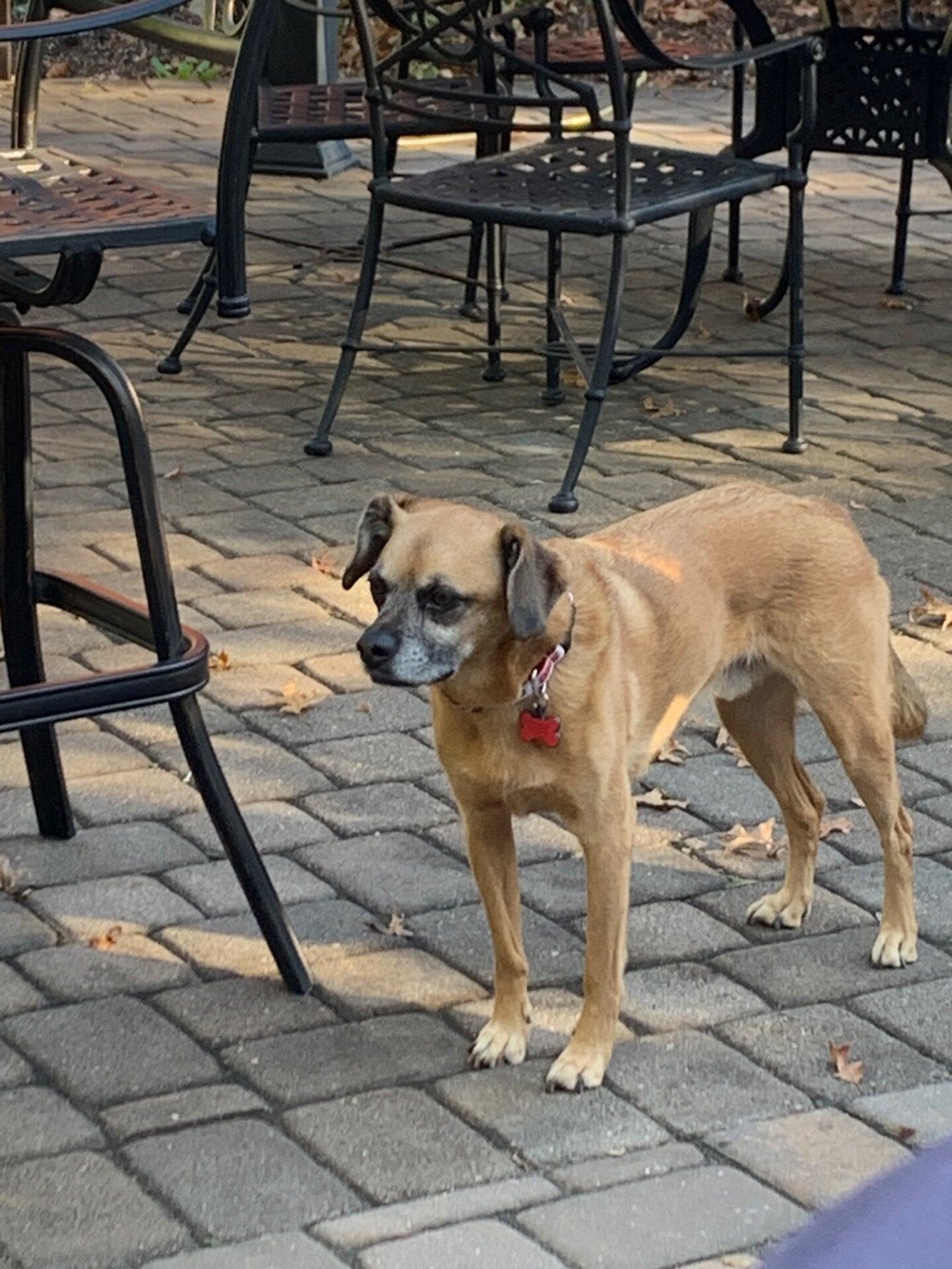 Photo credit: nextdoor