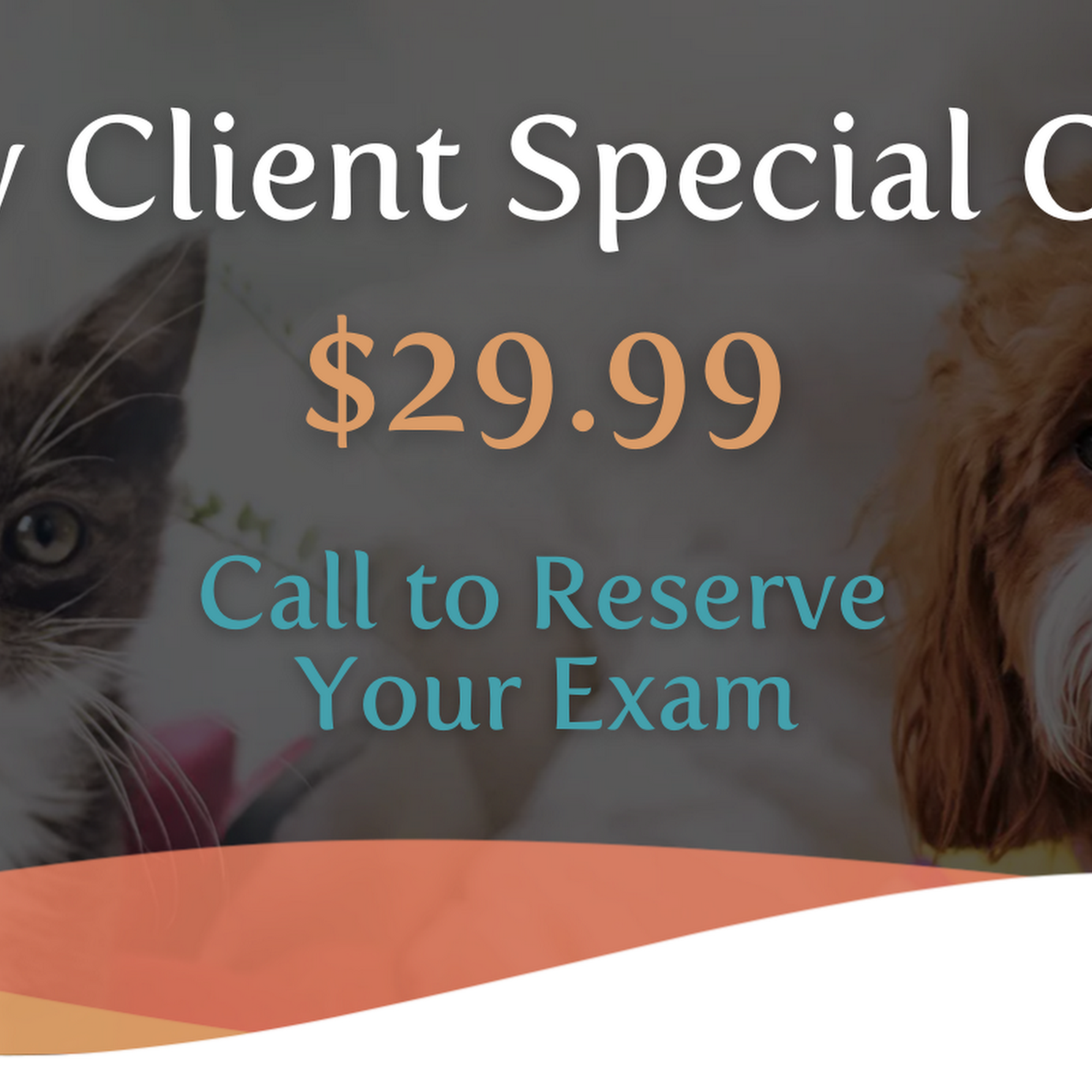 Animals First + Veterinary Hospital & Urgent Care Haddon