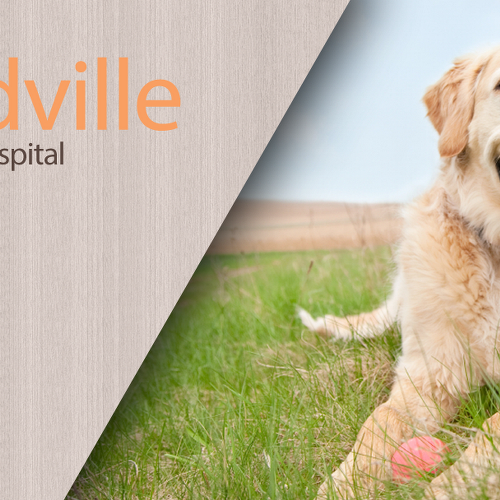Yardville Animal Hospital Hamilton