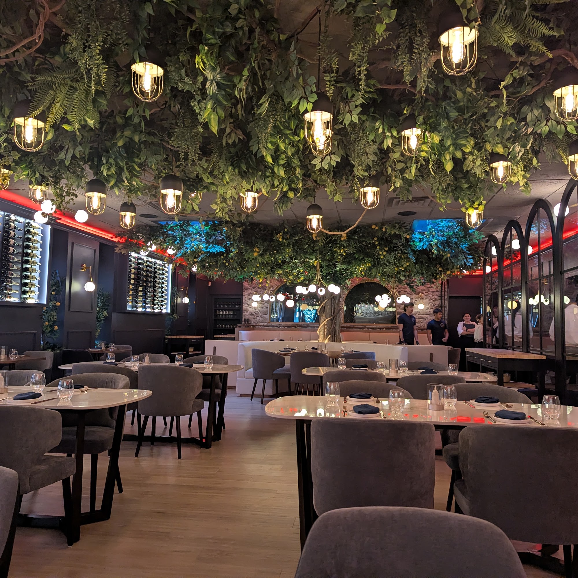 Scarpelli Hammonton 705 12th St, Hammonton