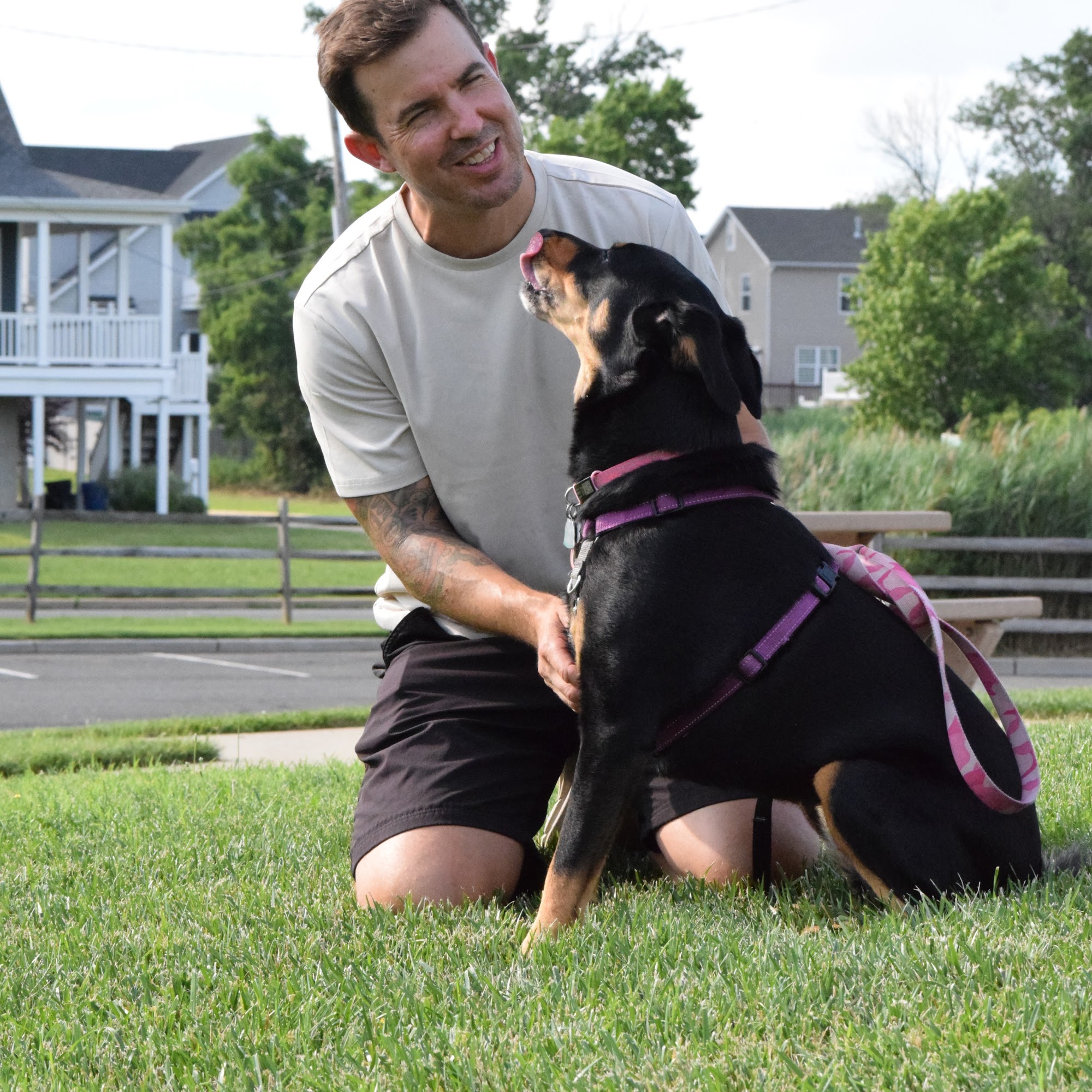 Dog Days NJ LLC Hazlet