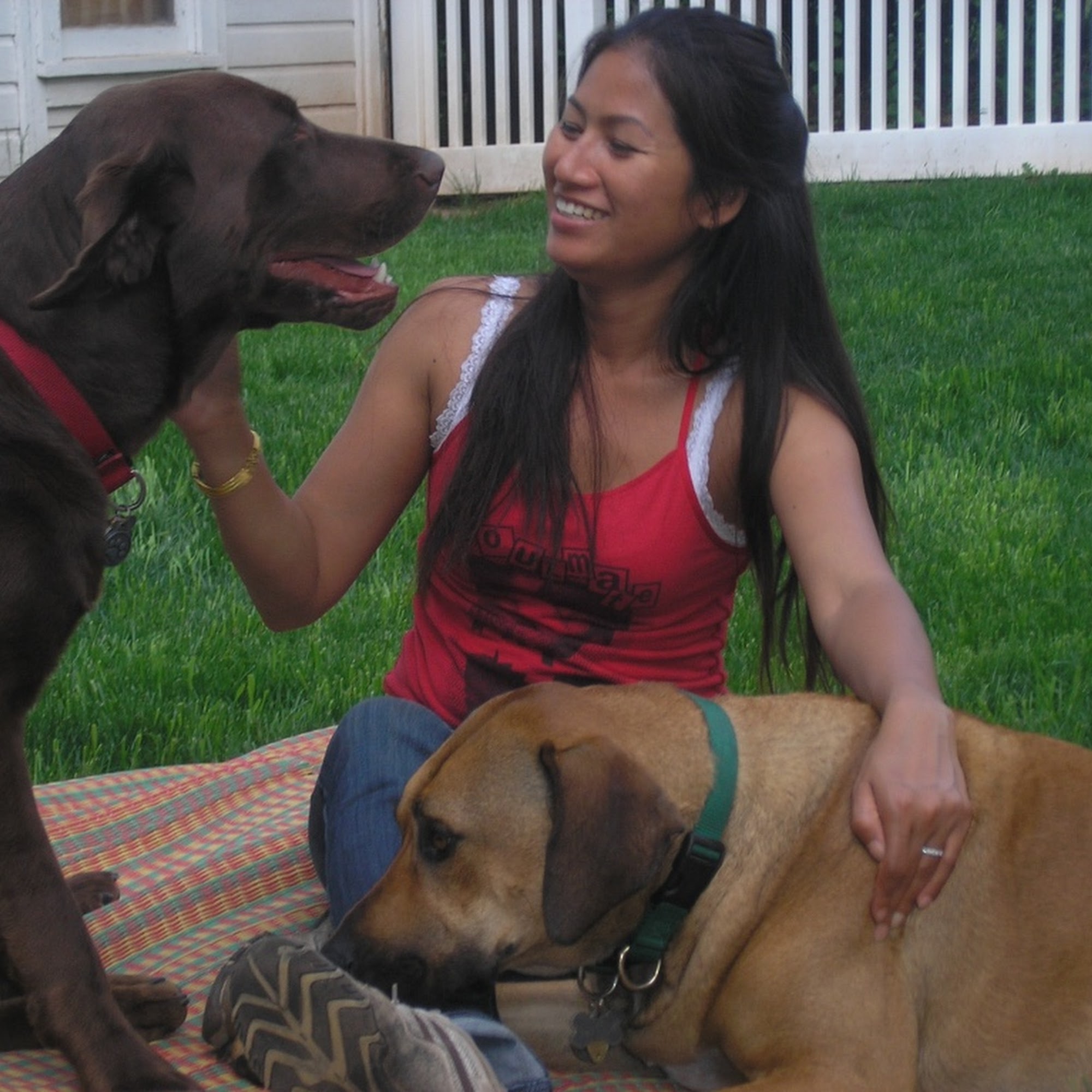 TK Pet Sitters Highland Park