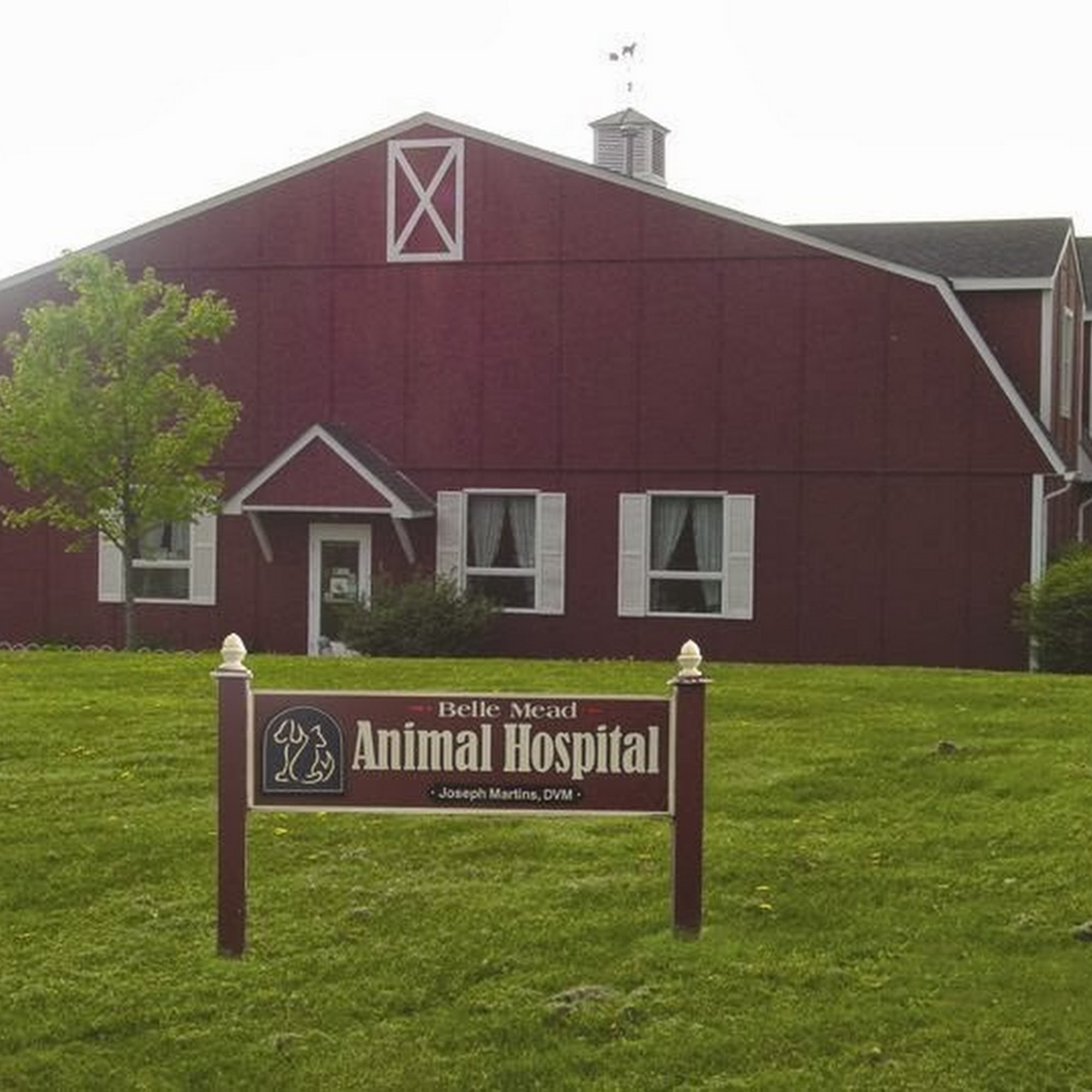 Belle Mead Animal Hospital Hillsborough