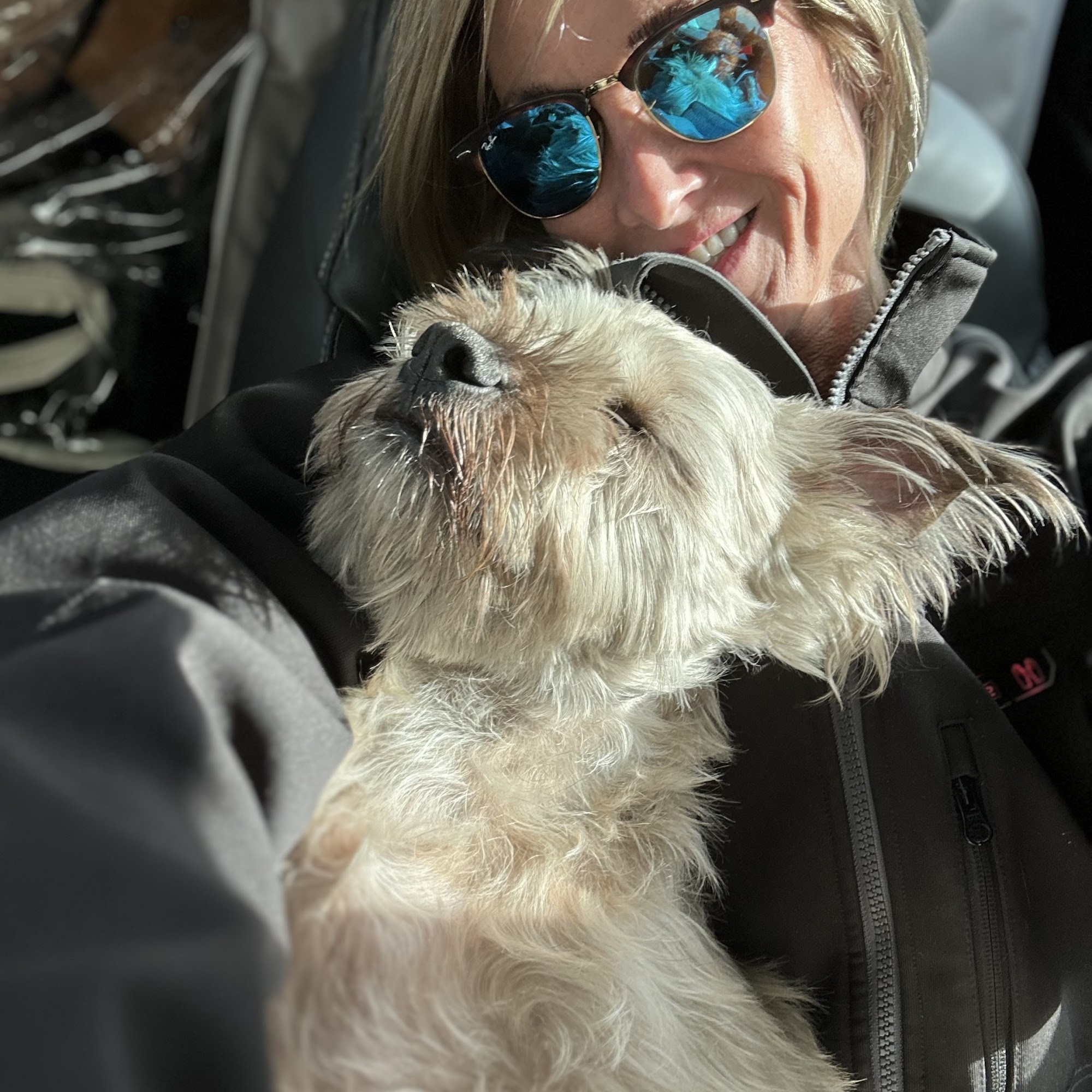 Howell Animal Hospital Surgical and Diagnostic Center Howell