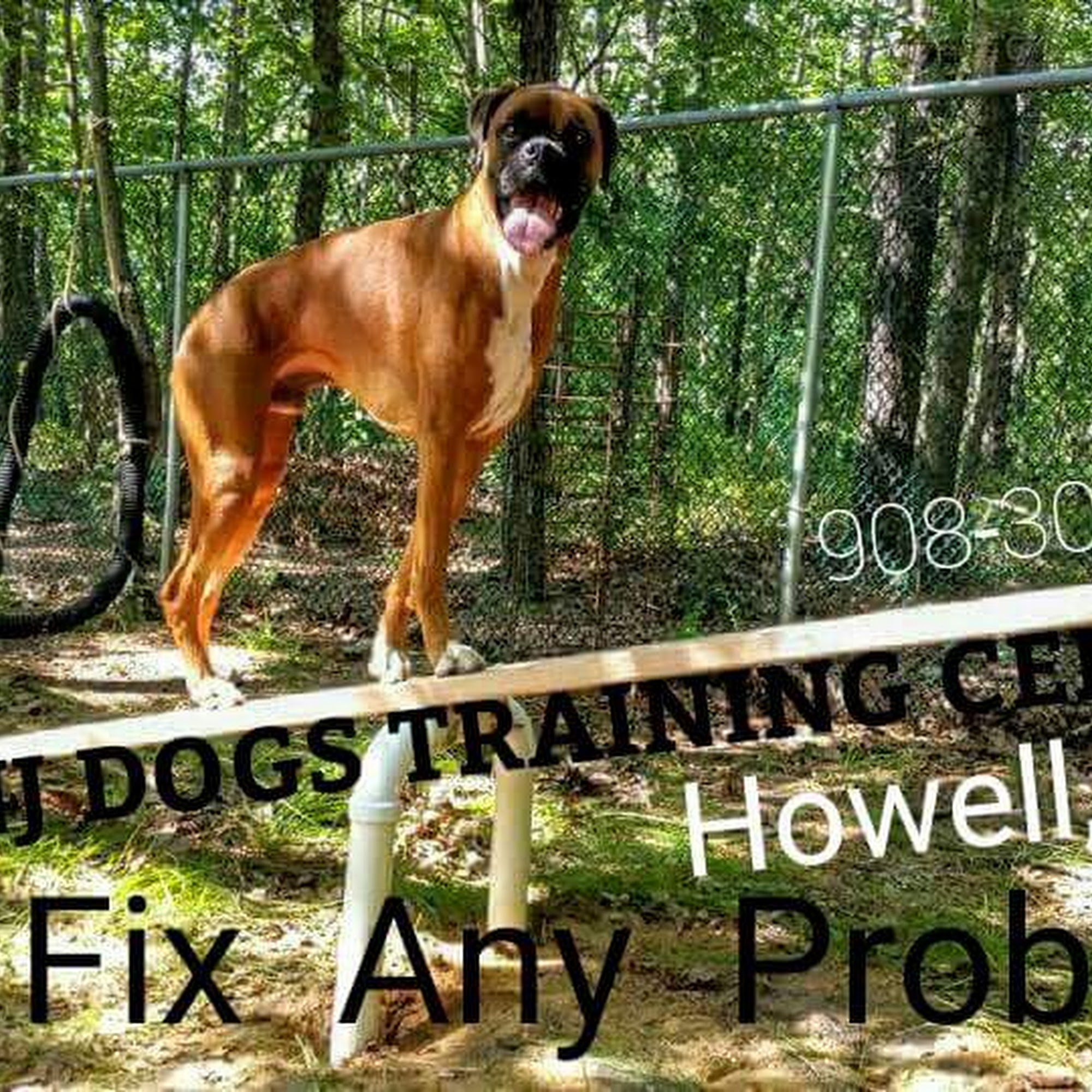 NJ DOGS Training LLC. Howell