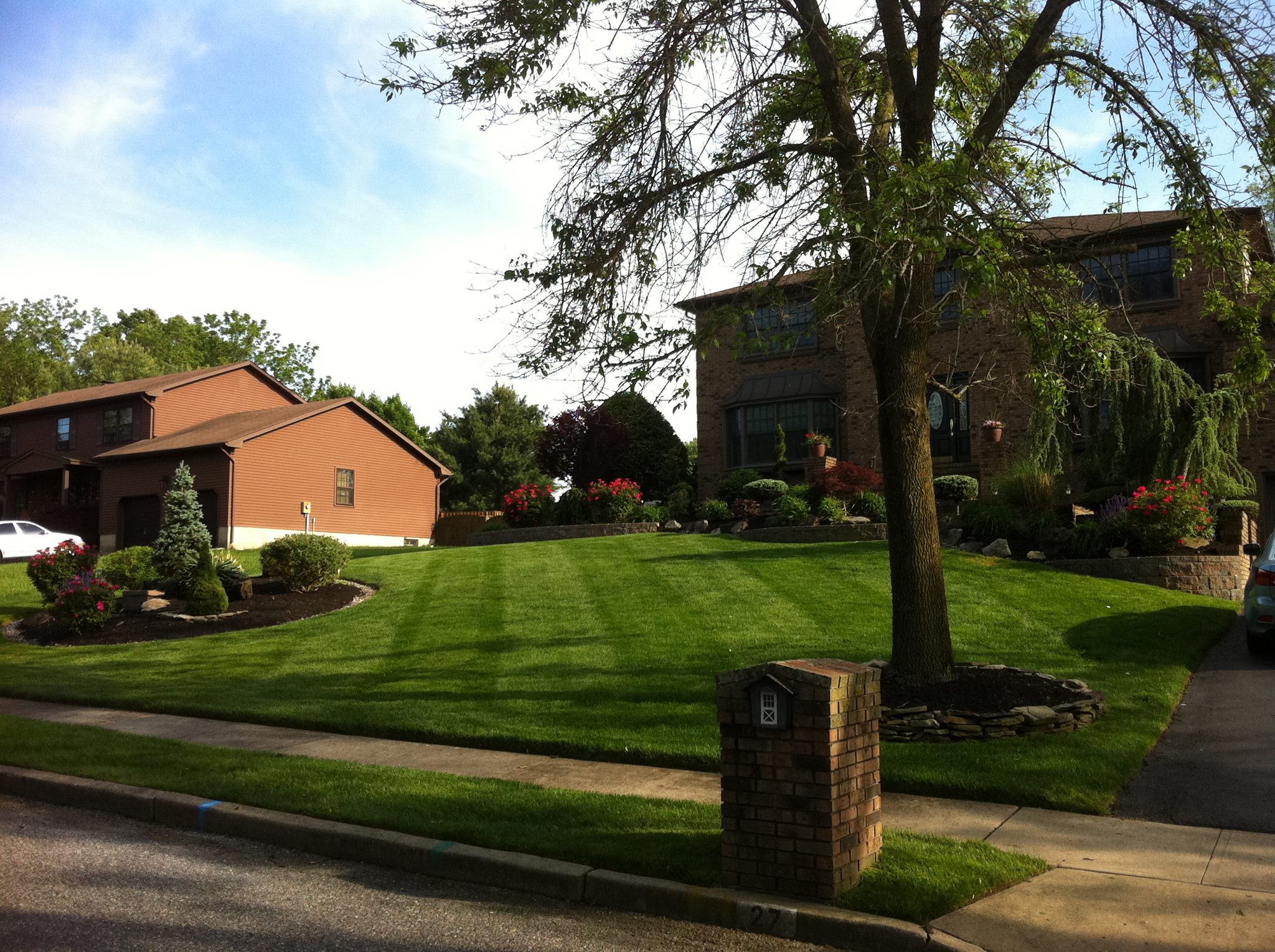 Green with Perfection