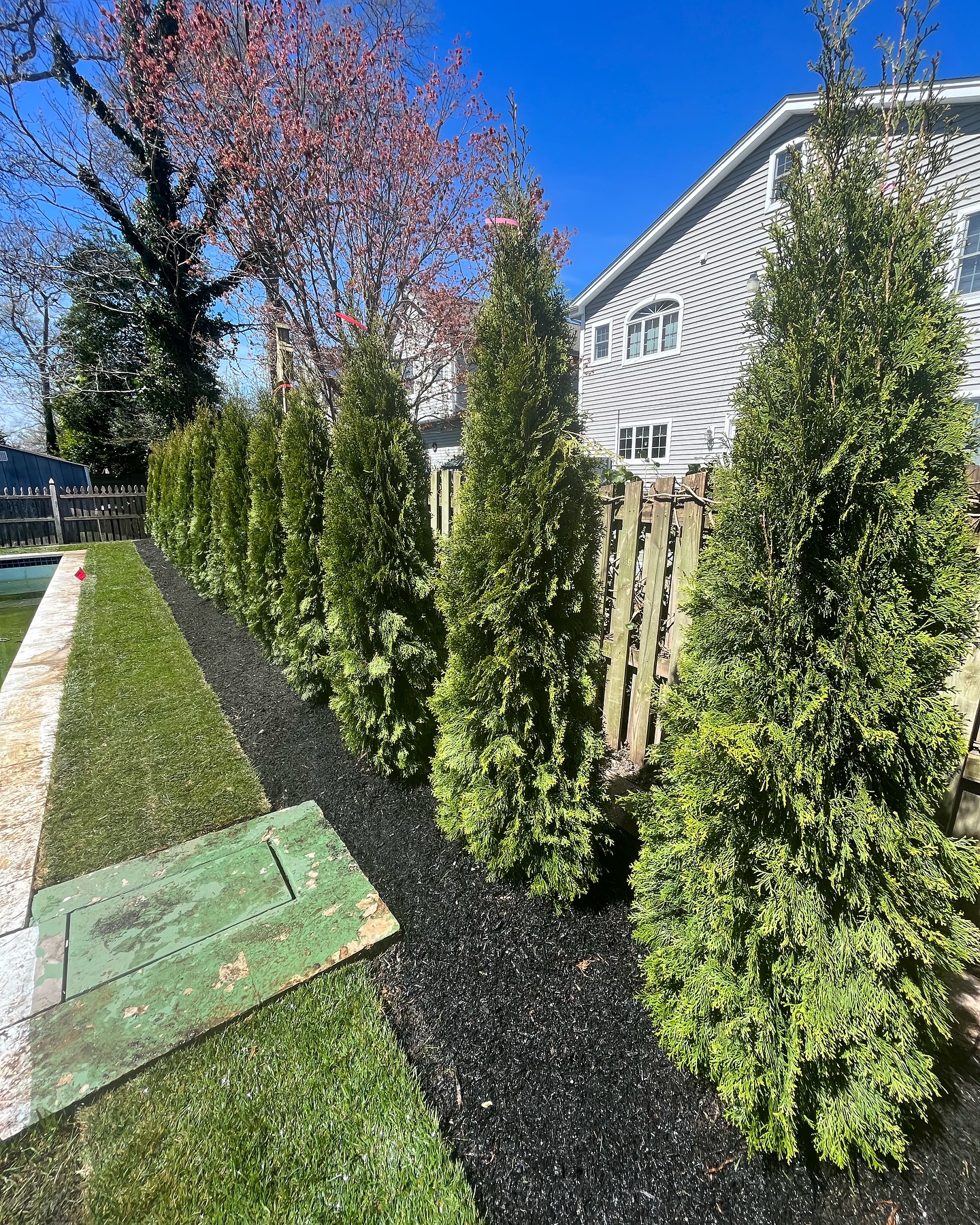 Green with Perfection