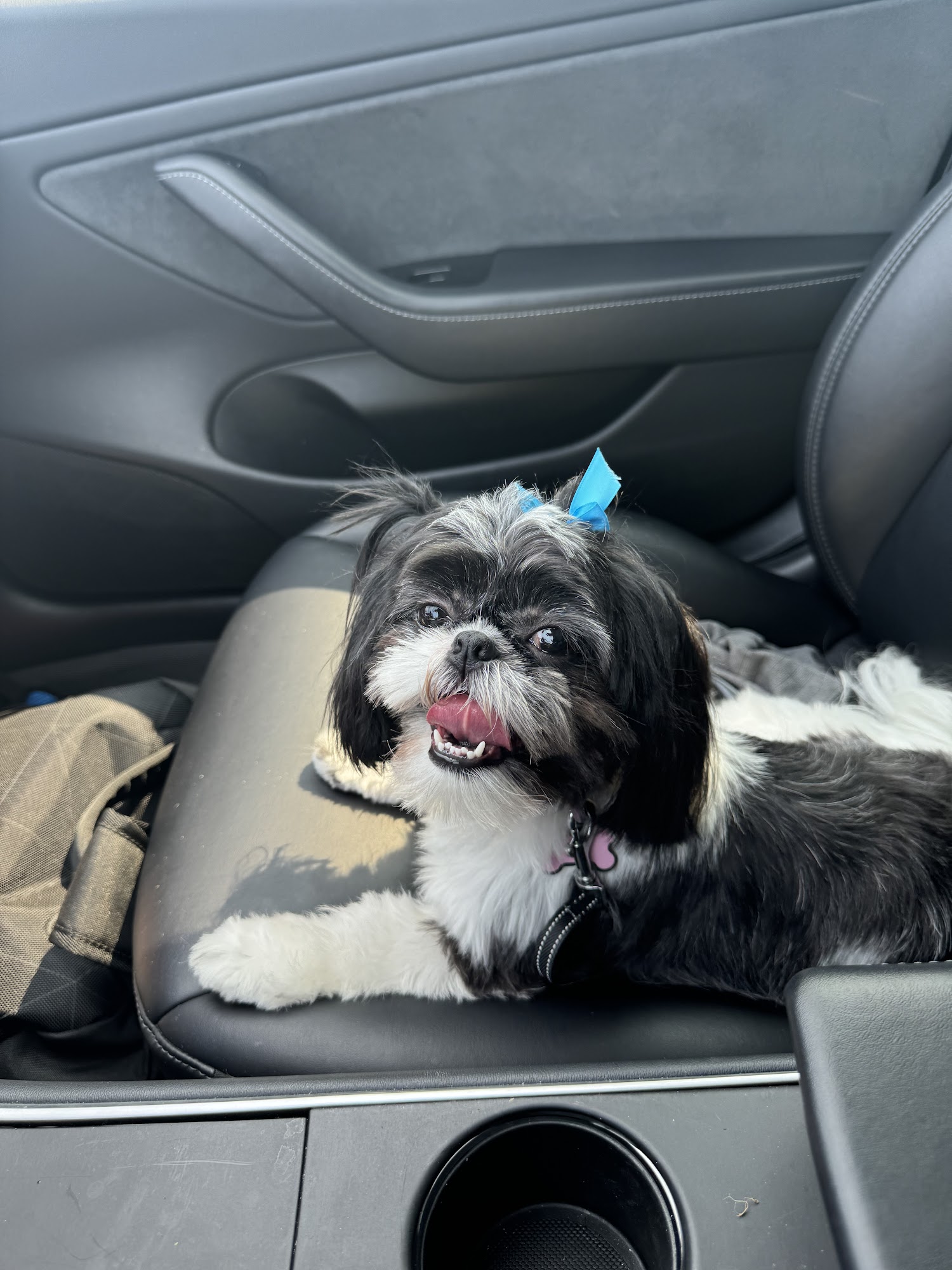 Pet Supplies Plus Jackson Jackson