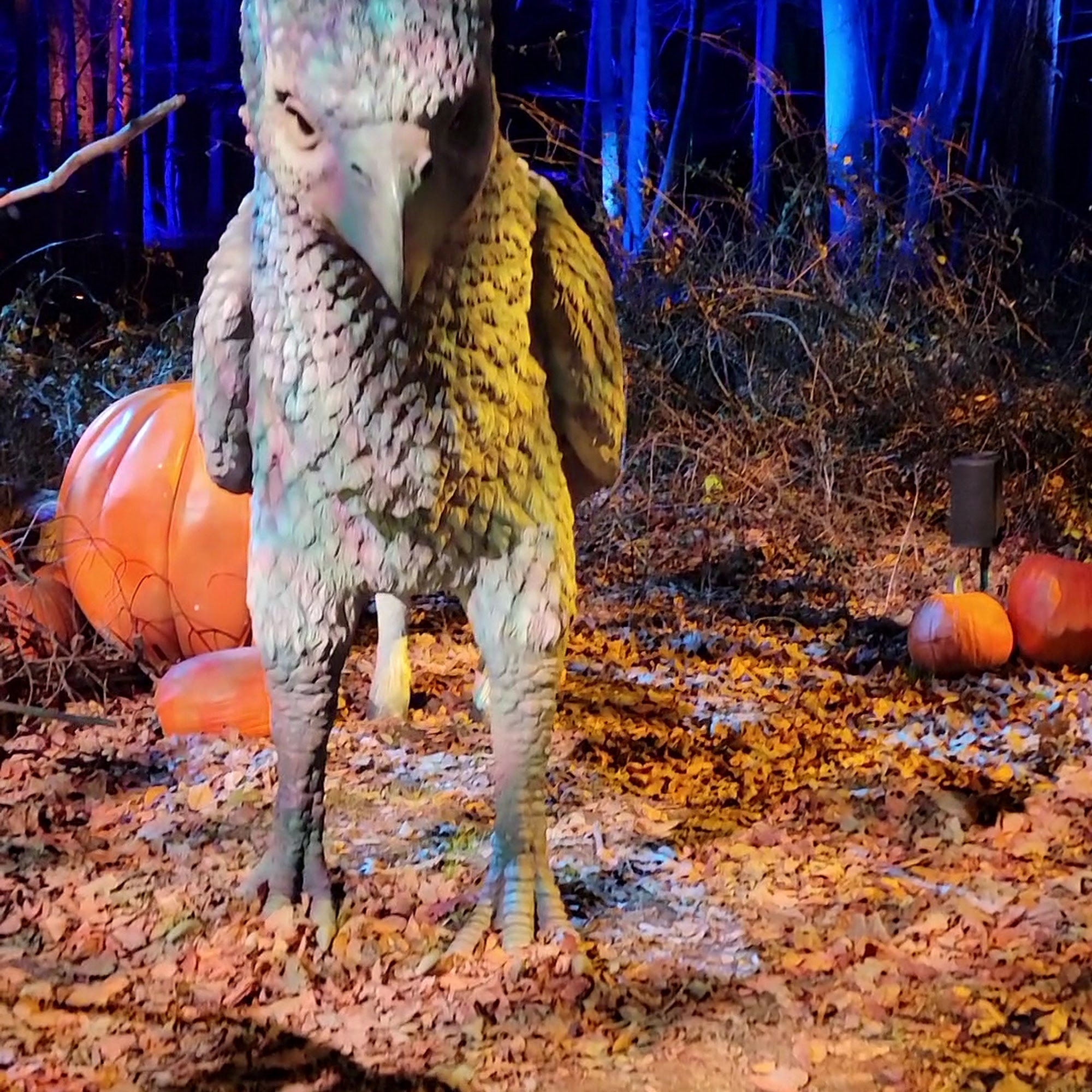 Pawsitively Chic Pet Salon Jackson