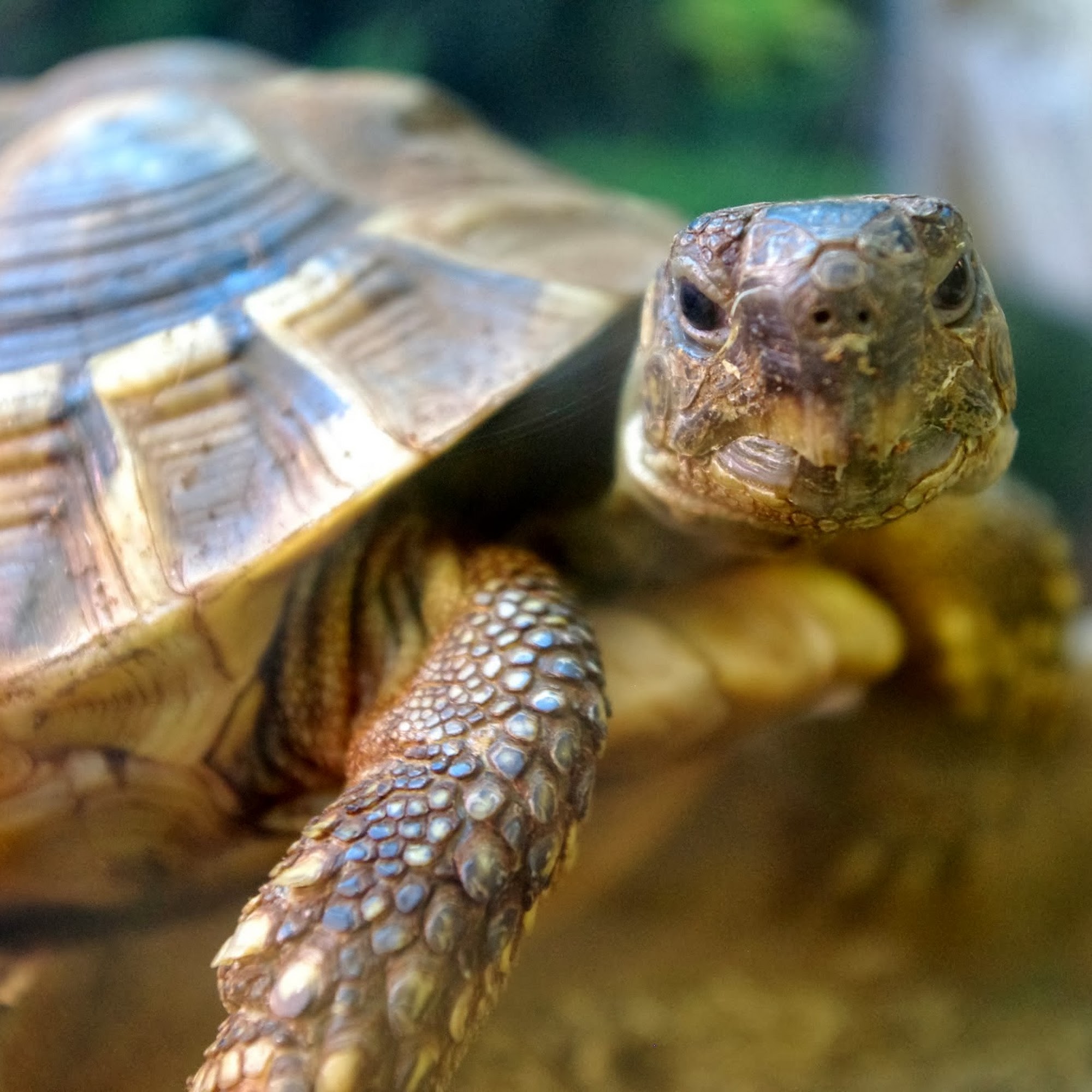 Animal Clinic & Hospital of Jersey City Jersey City