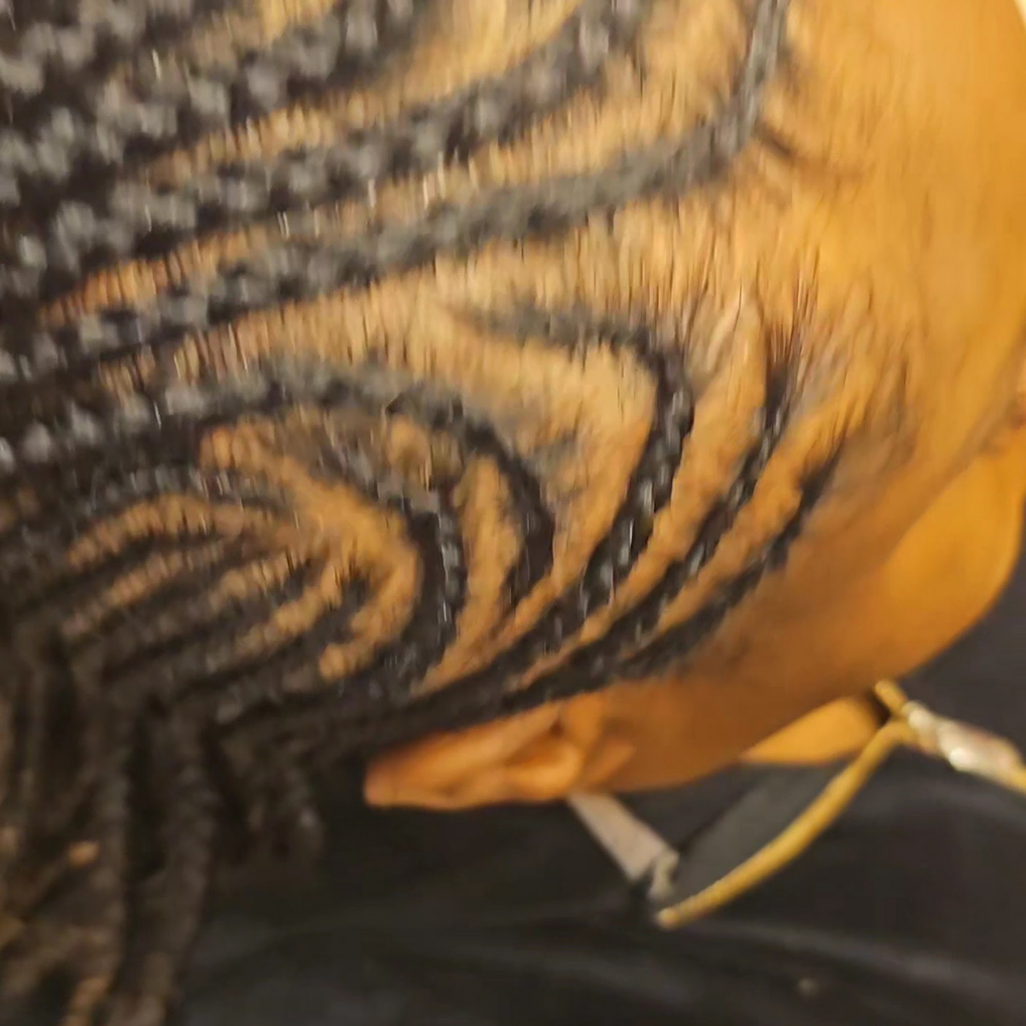 Misse African Hair Braiding 38 Martin Luther King Dr, Jersey City New Jersey 07305