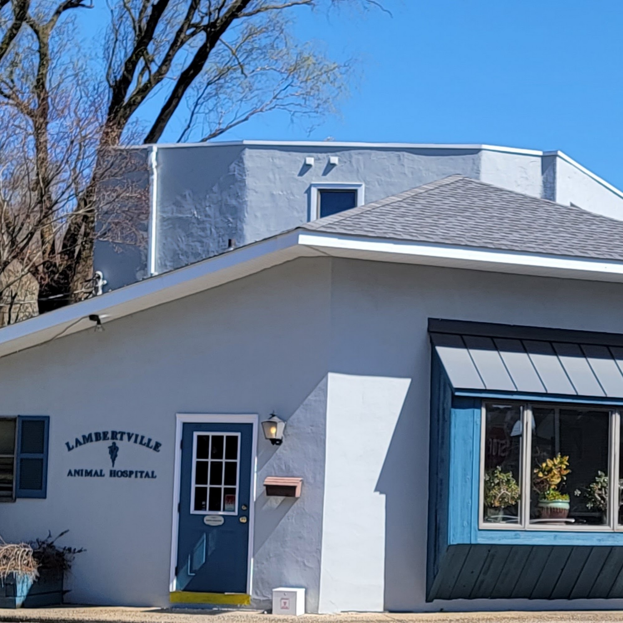 Lambertville Animal Hospital Lambertville